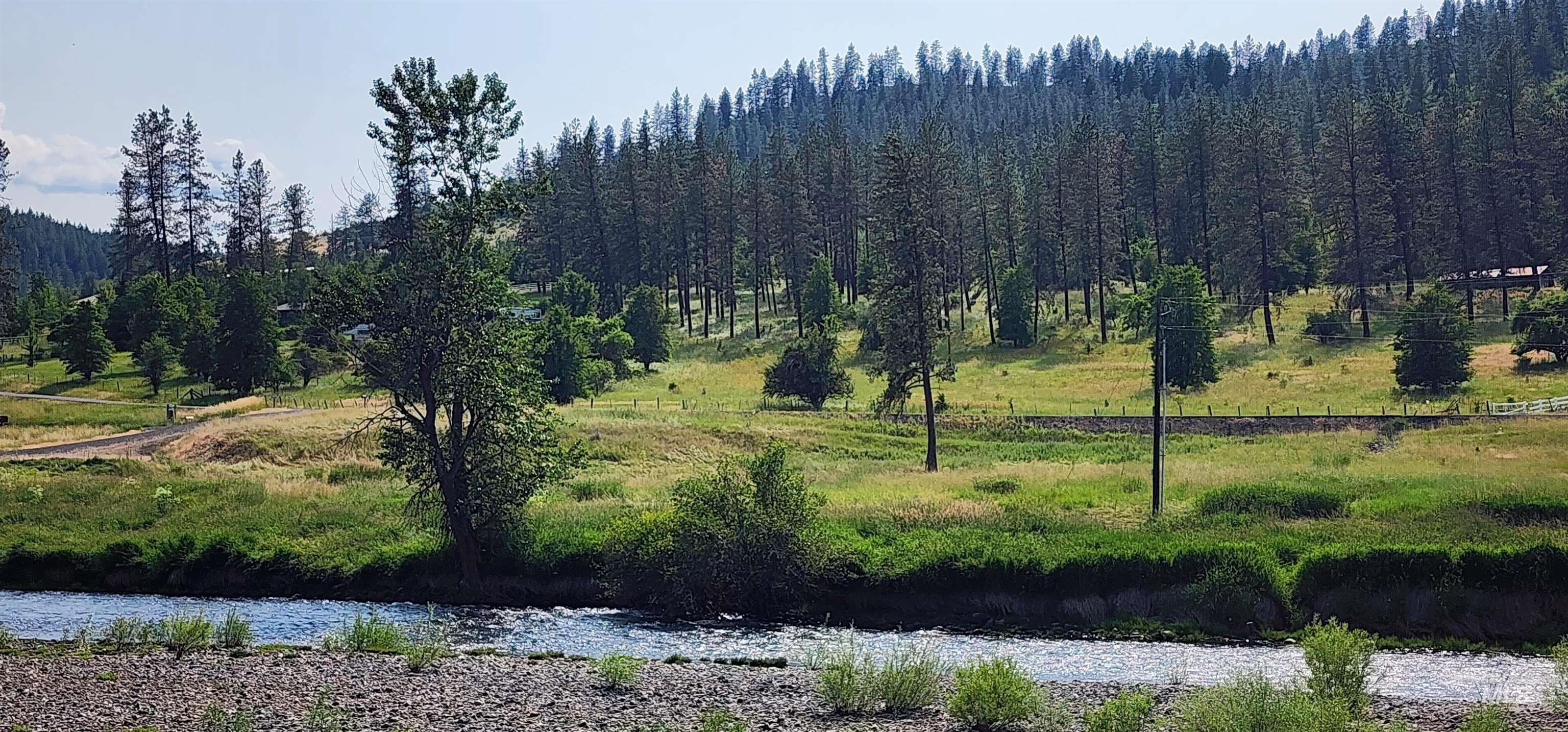 View of tree filled area