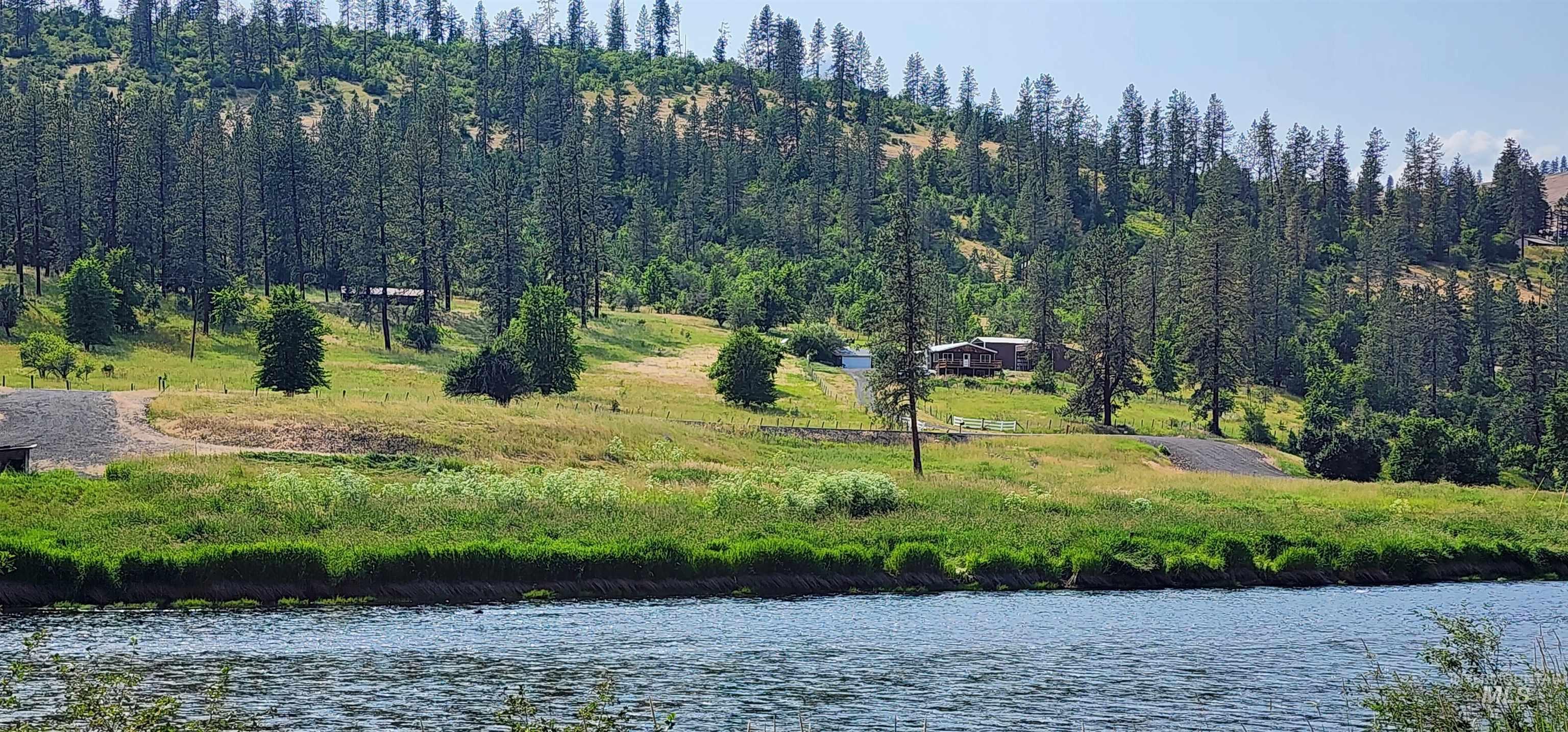Water view with a forest