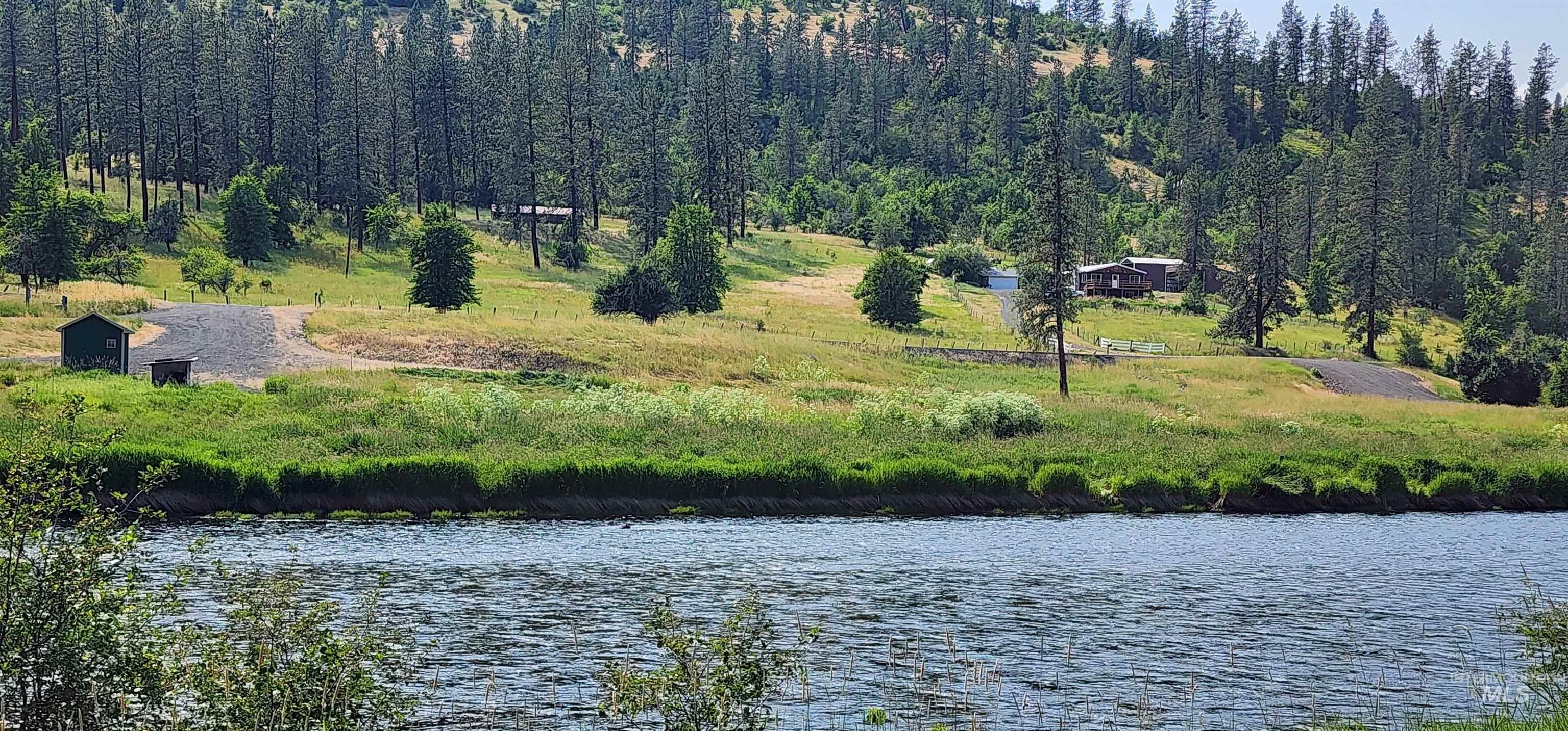 Water view featuring a forest