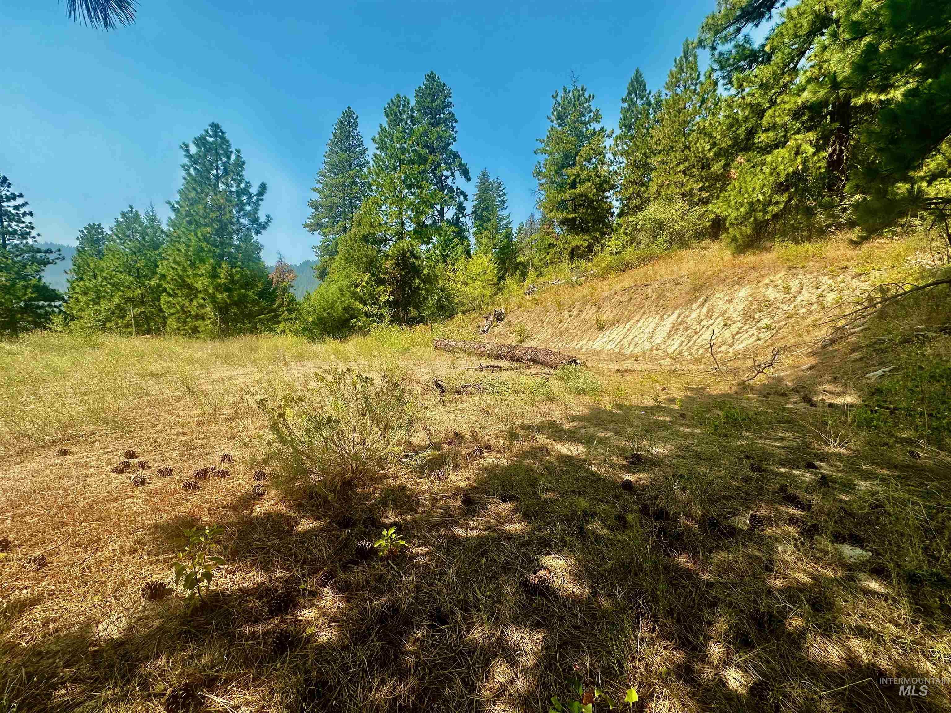 View of undeveloped land