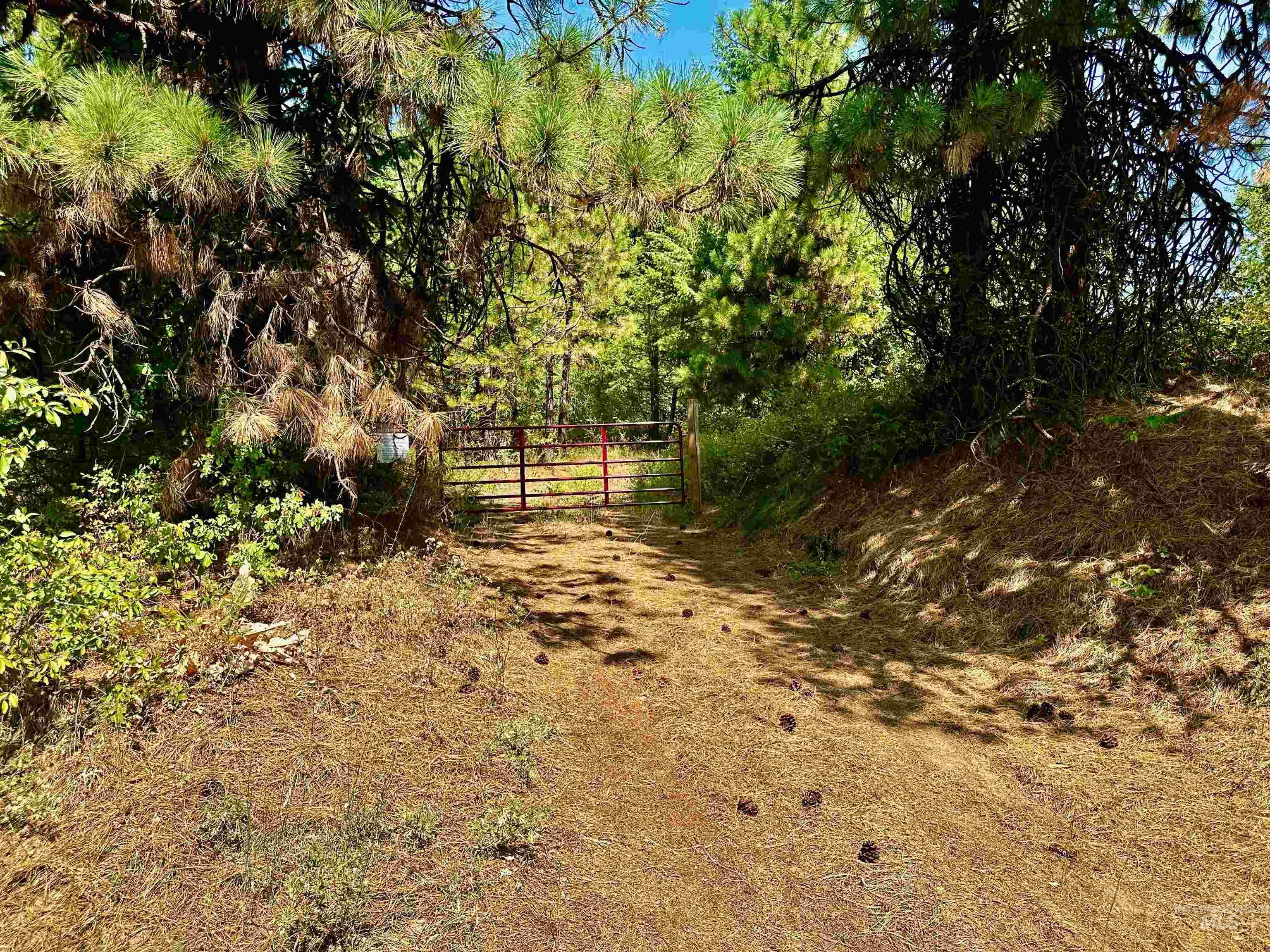 View of yard featuring a gate