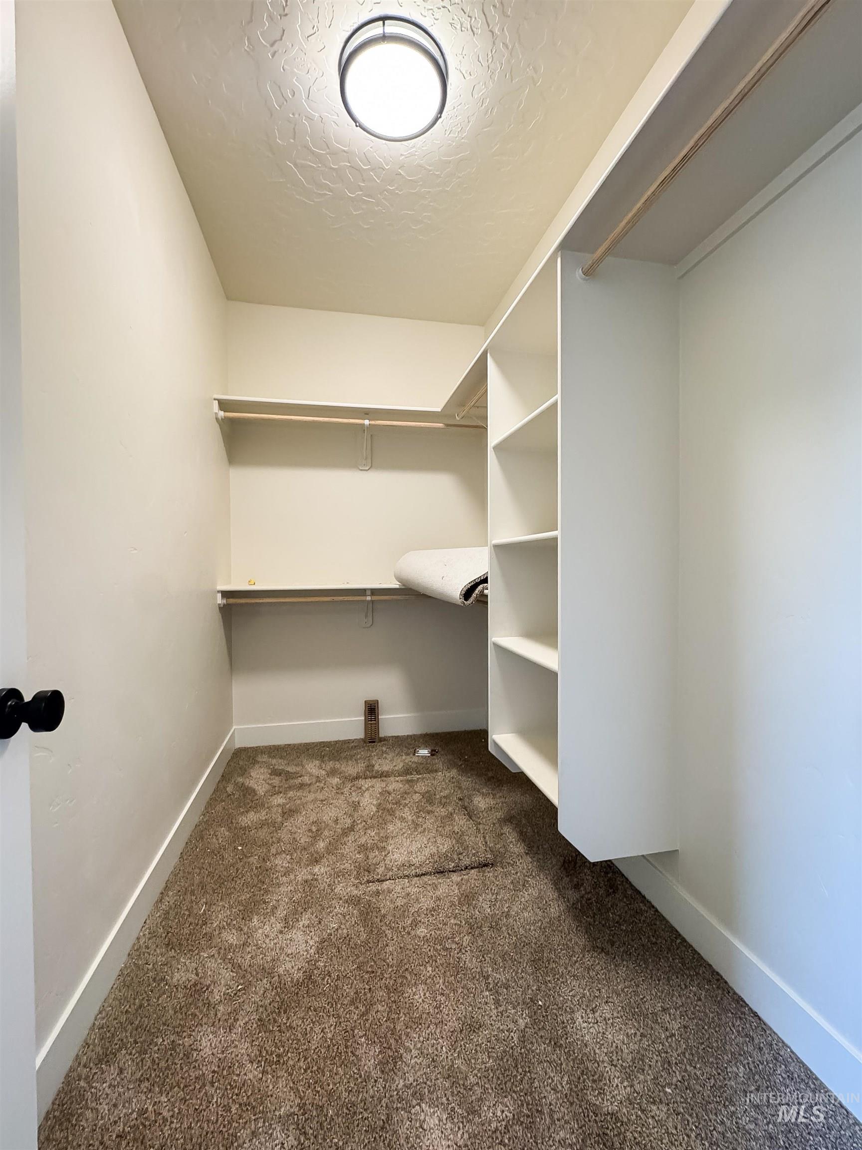 Spacious closet featuring carpet flooring