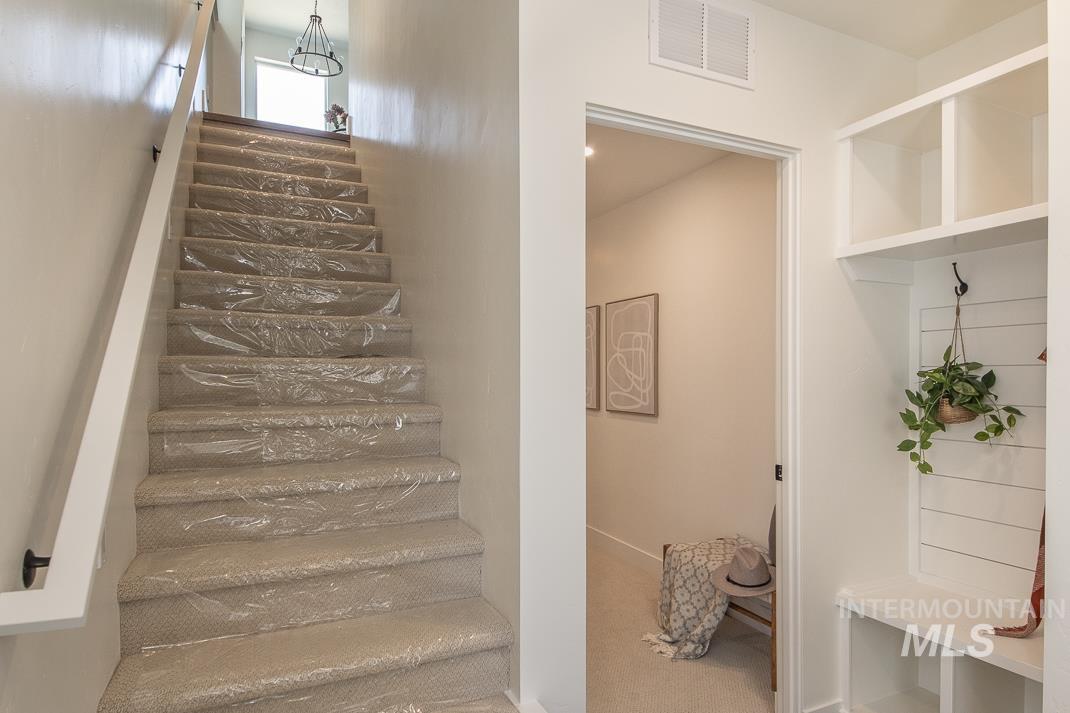 479 E Violets Cove Ln