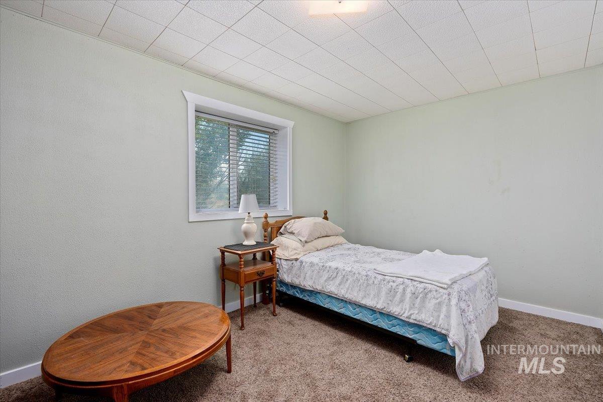 Bedroom featuring carpet flooring and baseboards