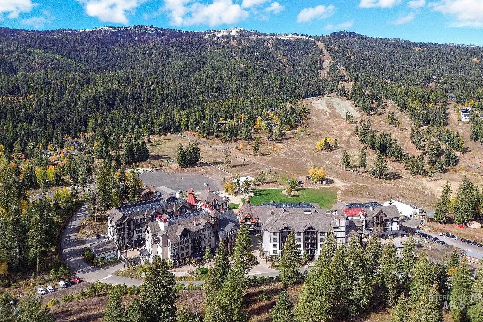Aerial view of property and surrounding area with a forest