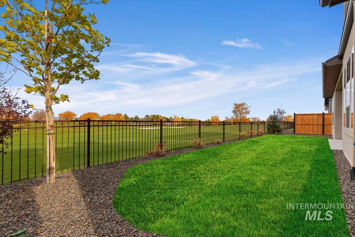 View of fenced backyard