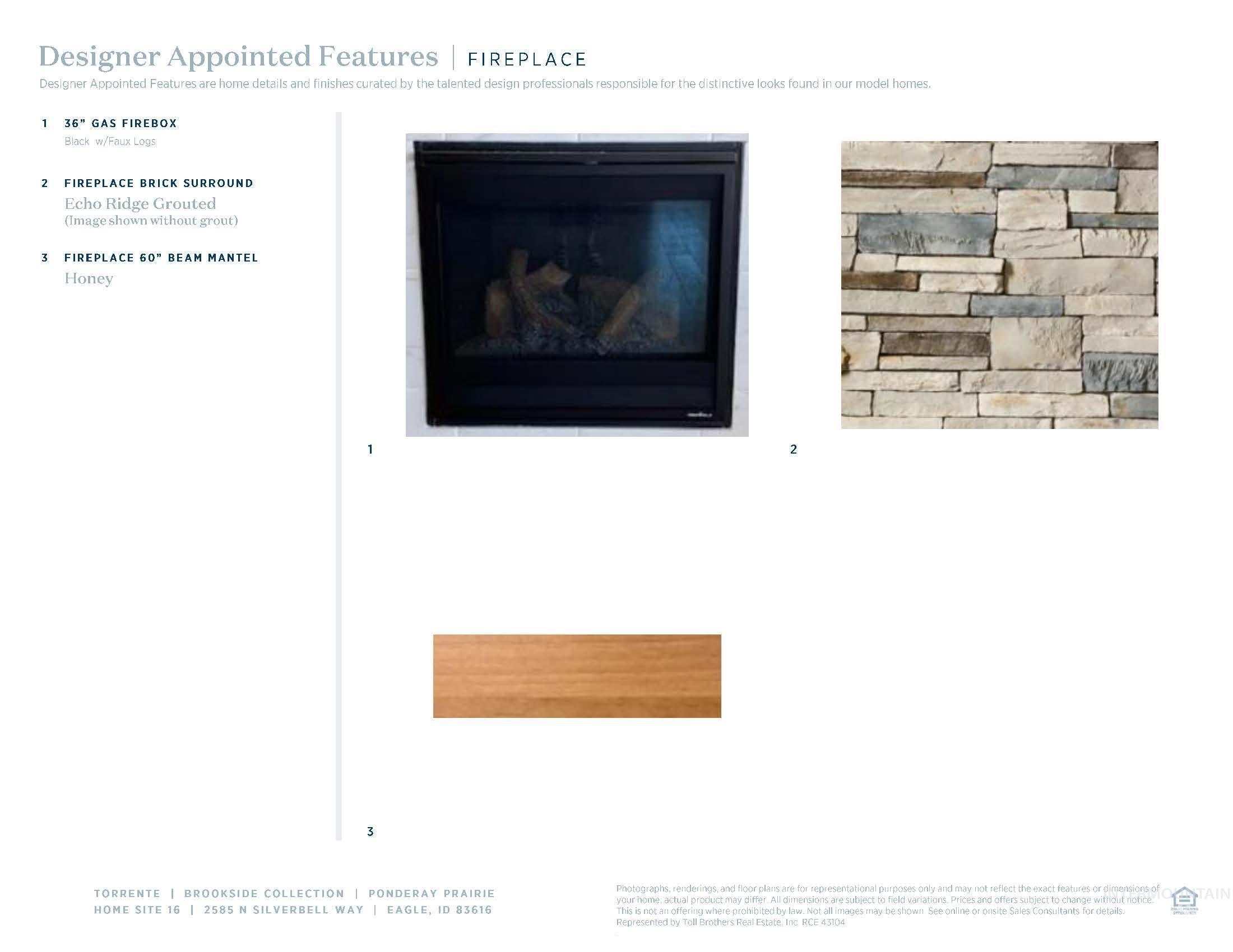 Designer Appointed Features. Detailing specifications for the property's fireplace elements