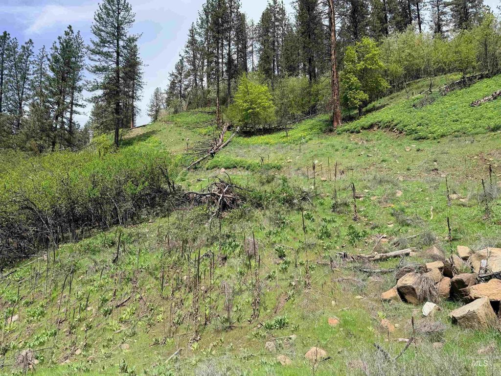 Photo of 1620 Forsman Ave, Orofino, ID 83544 (MLS # 98982881)