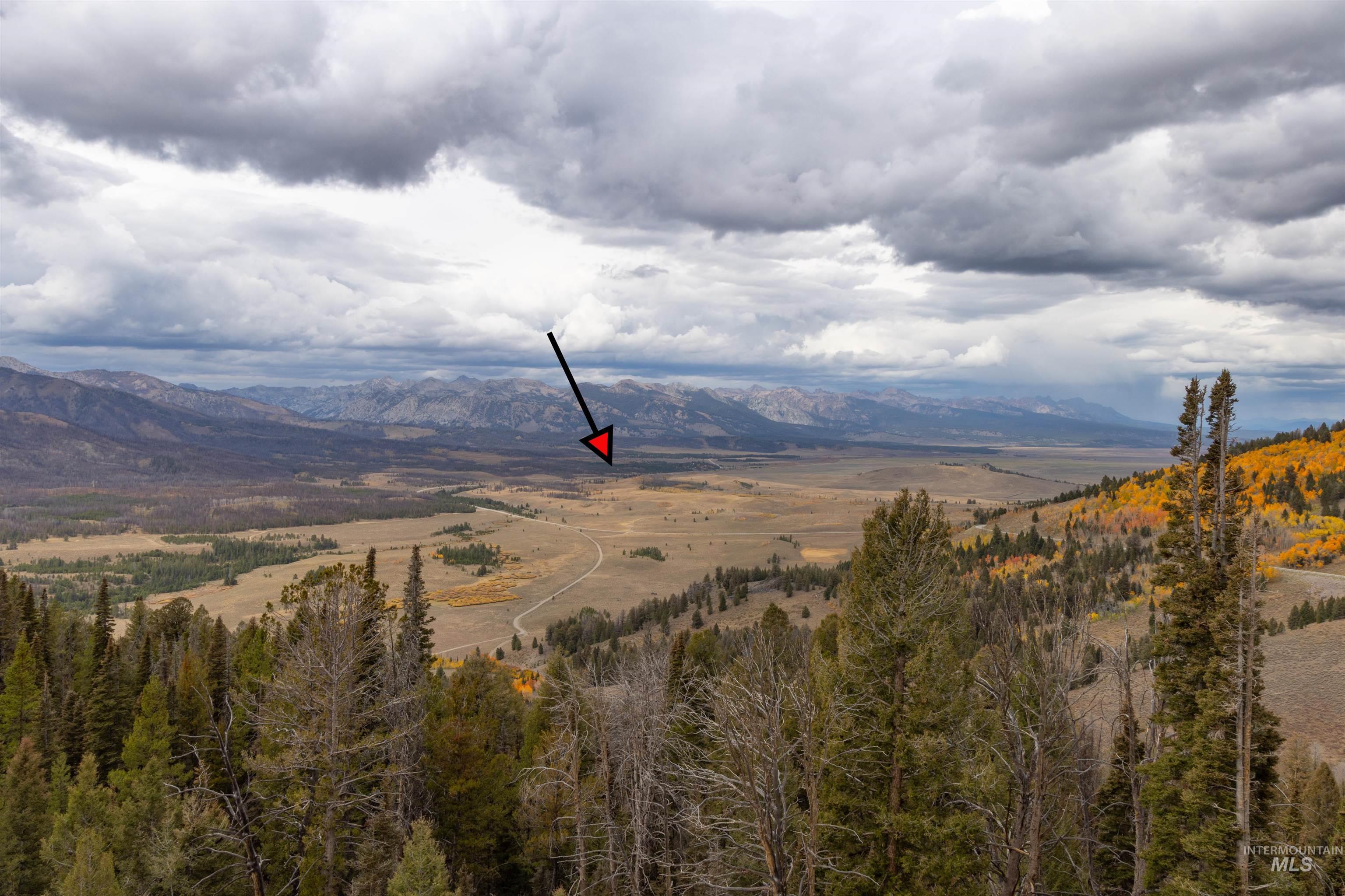 View of mountain background featuring a forest