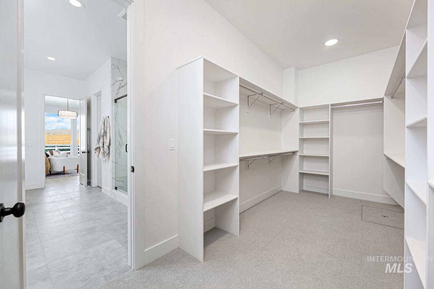 Spacious closet featuring light carpet