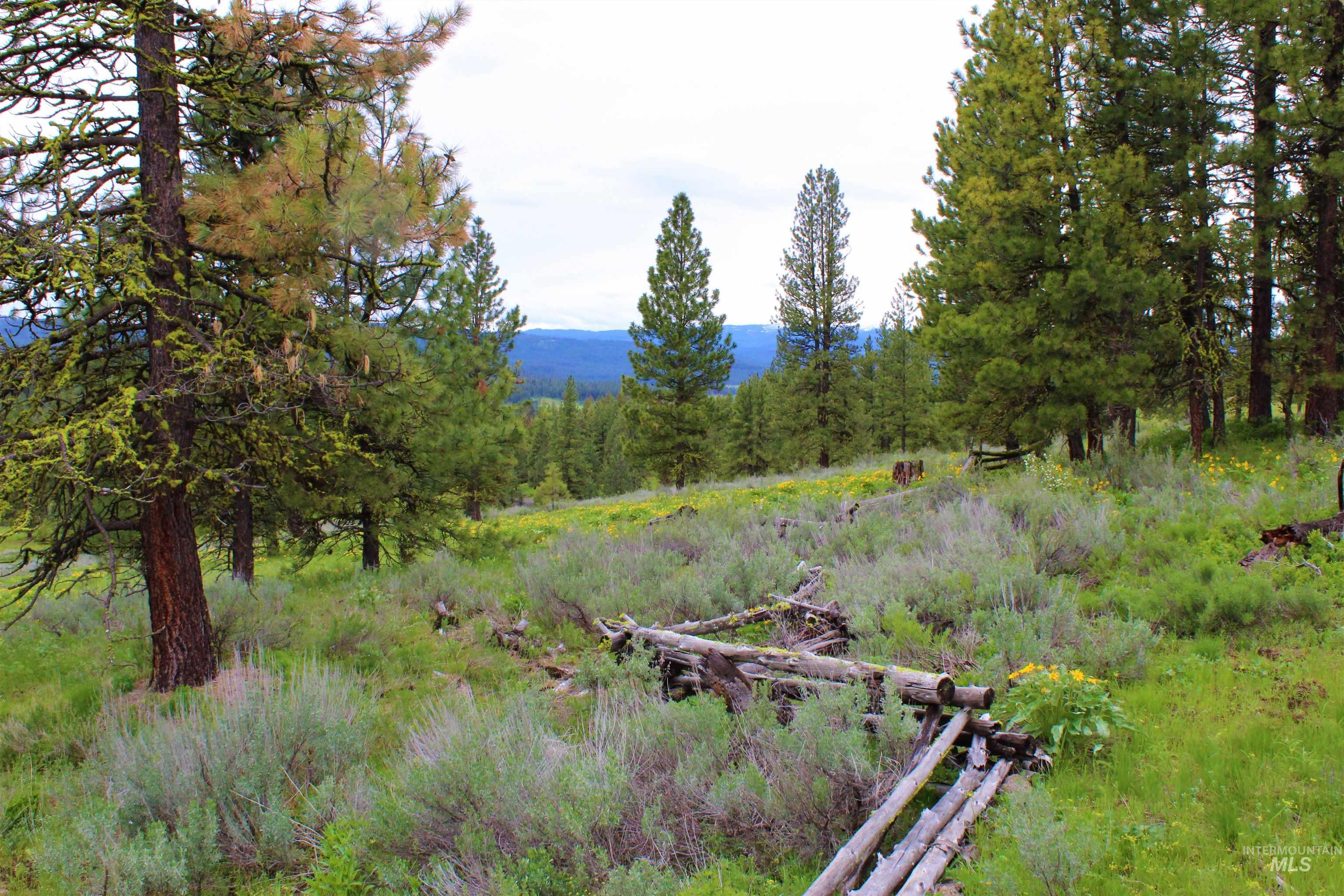 2950 & 3000 Fish Lake Road