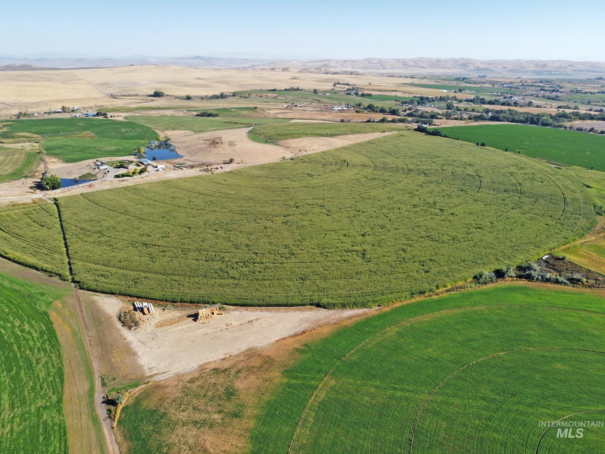 3850 Greenfield Road