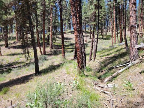 Photo of 4156 Hwy 21, Idaho City, ID 83631 (MLS # 98947696)