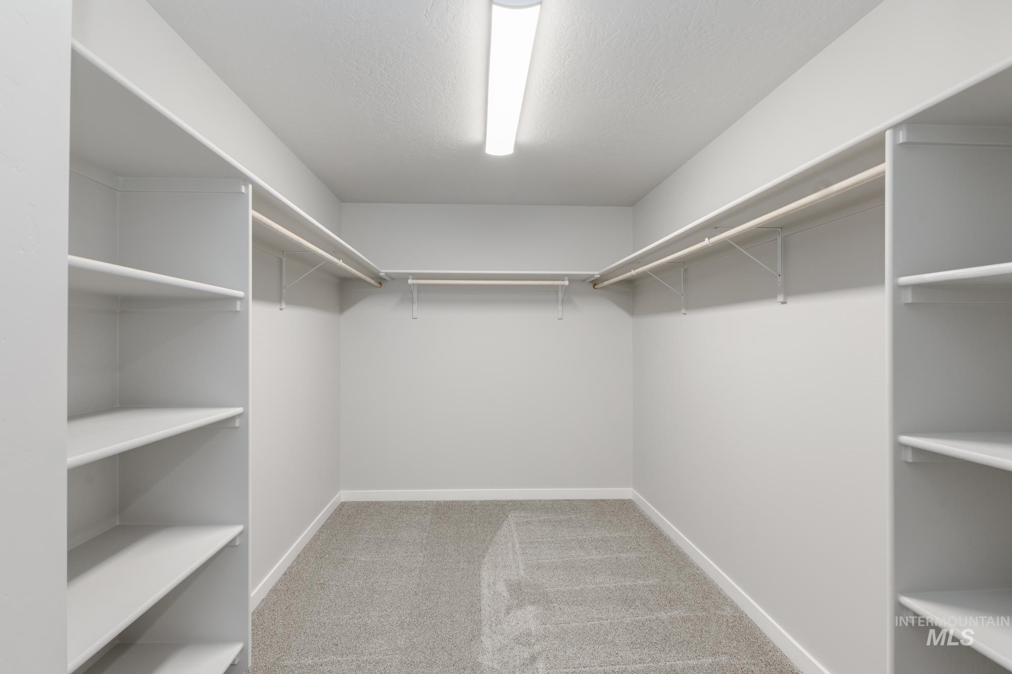 Walk in closet with light colored carpet
