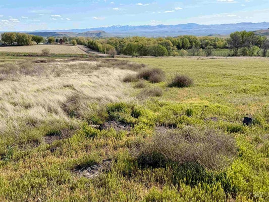 ADDRESS PRIVATE, NAMPA, ID 83686 - Image ed55d4fbfcc463fb5f9278dba37d072d/2247959036