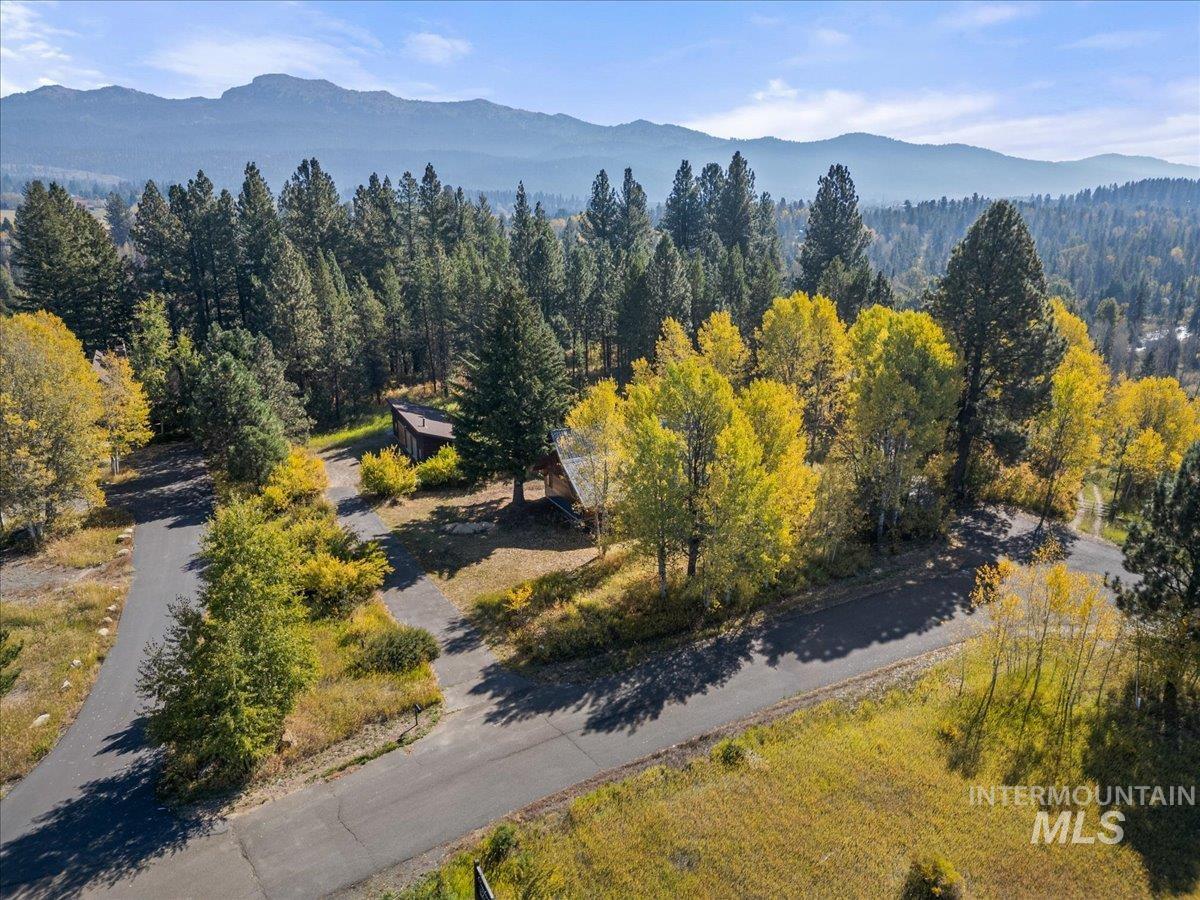 Aerial view of a mountainous background and a heavily wooded area