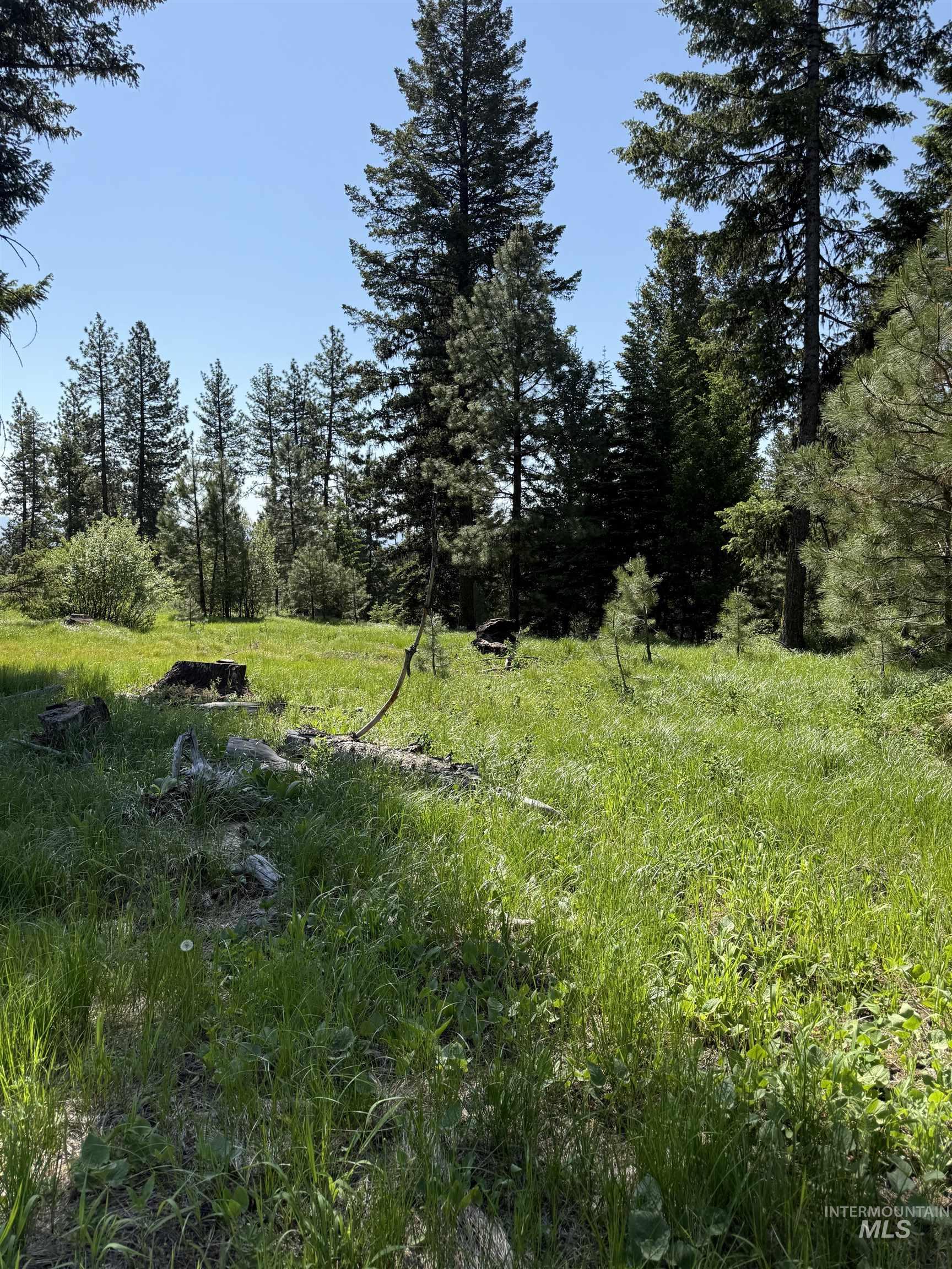 View of undeveloped land