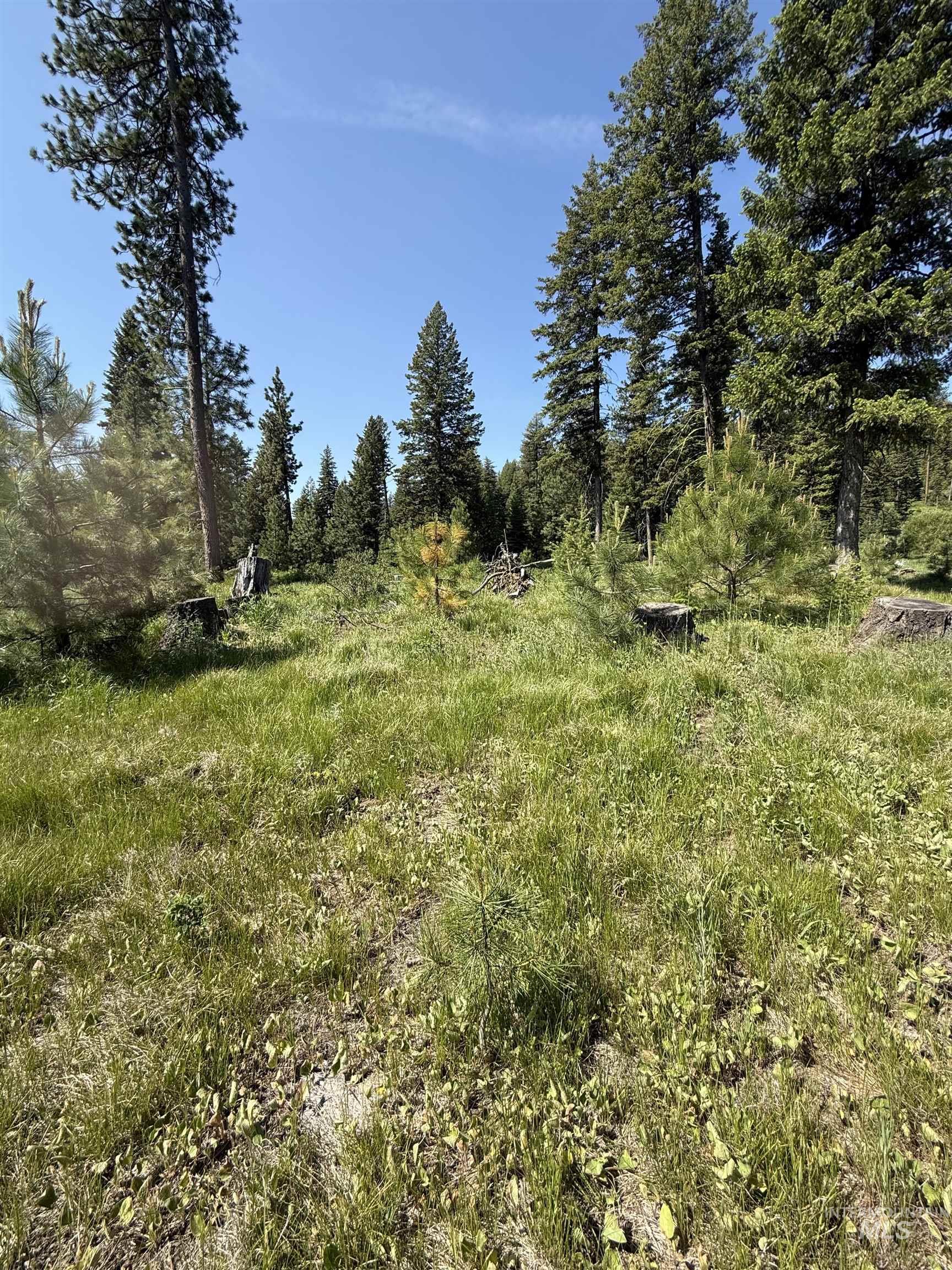 View of undeveloped land