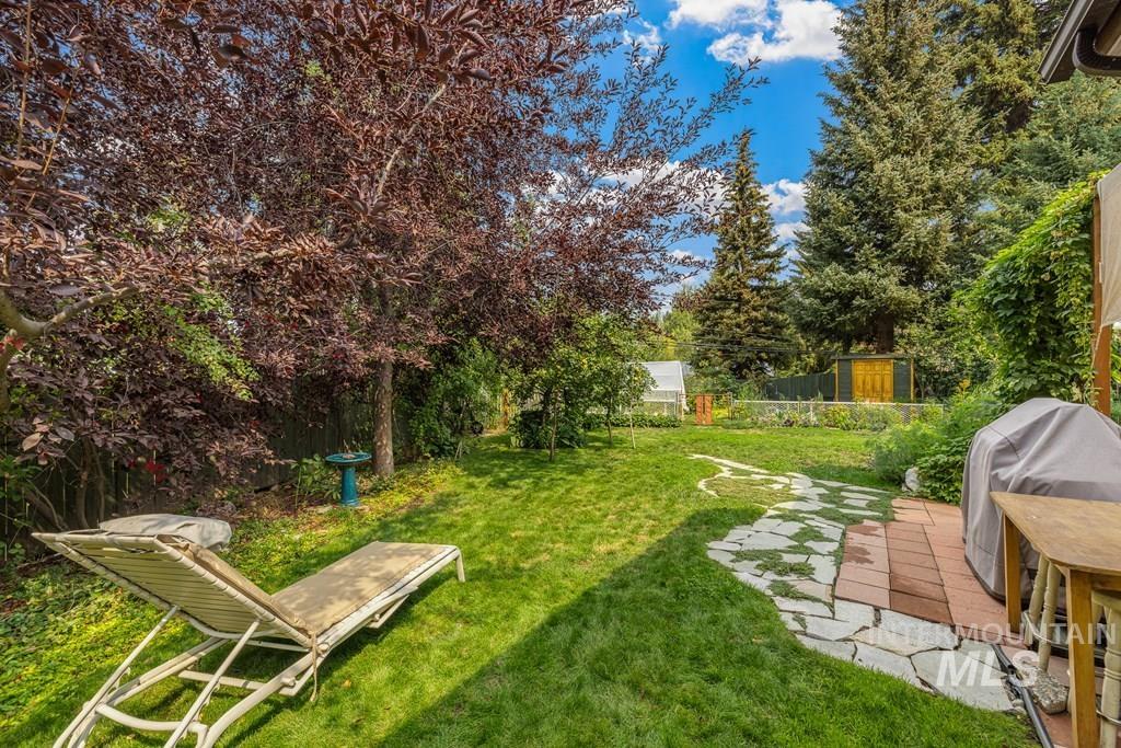 With producing pear, plum and apple trees.