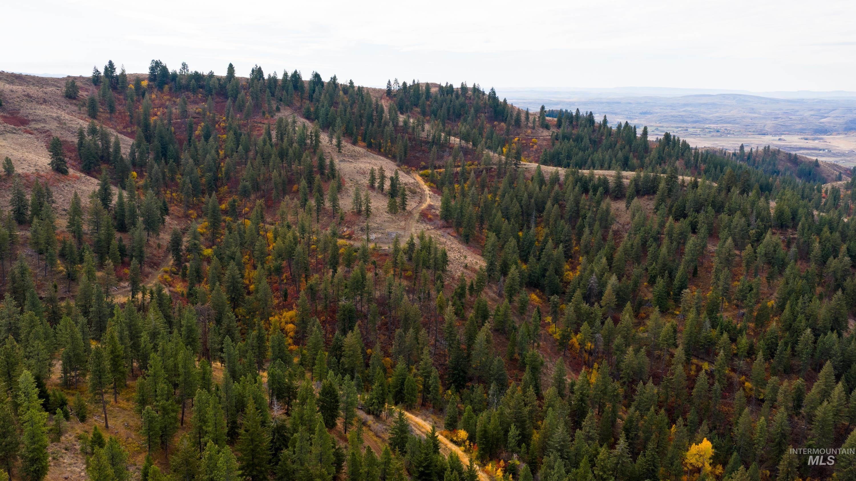 TBD Tbd Entire Ranch