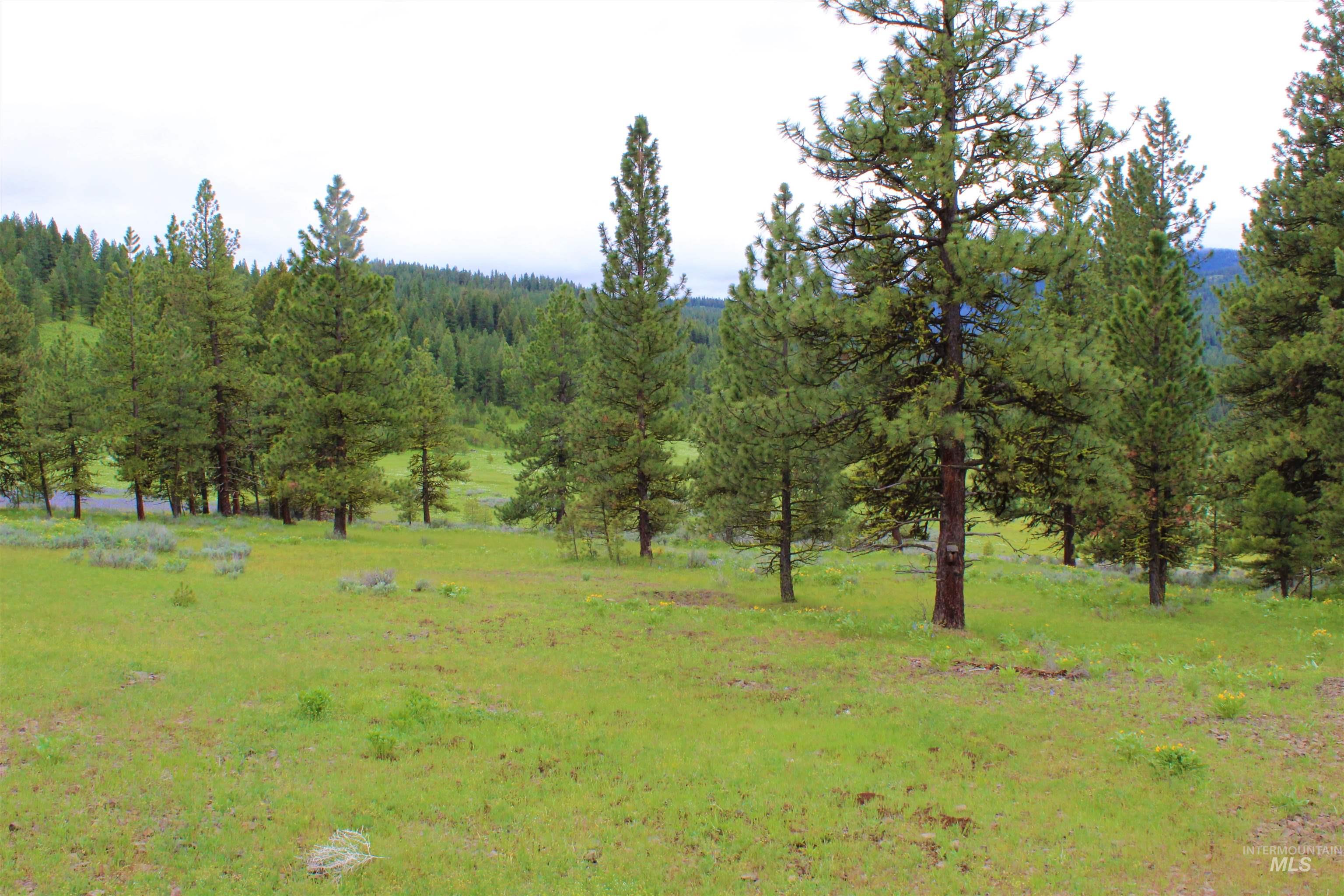 3000 Fish Lake Road