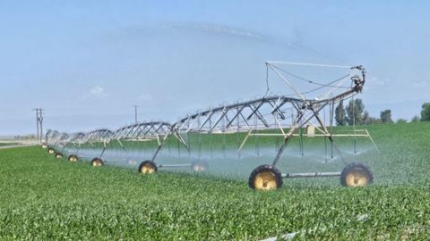 Photo of 4352 900 E, Buhl, ID 83316 (MLS # 98959572)