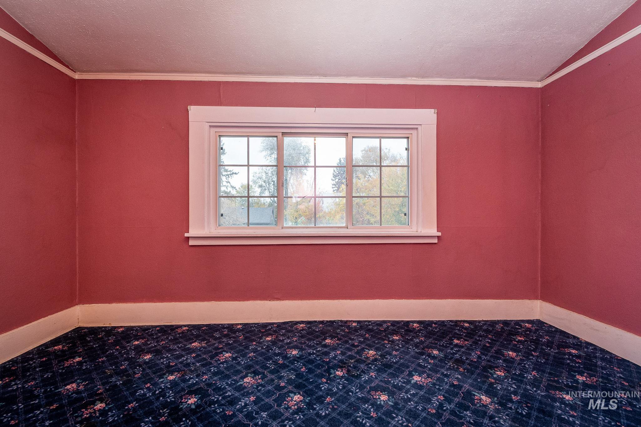 Carpeted spare room featuring crown molding and a textured ceiling