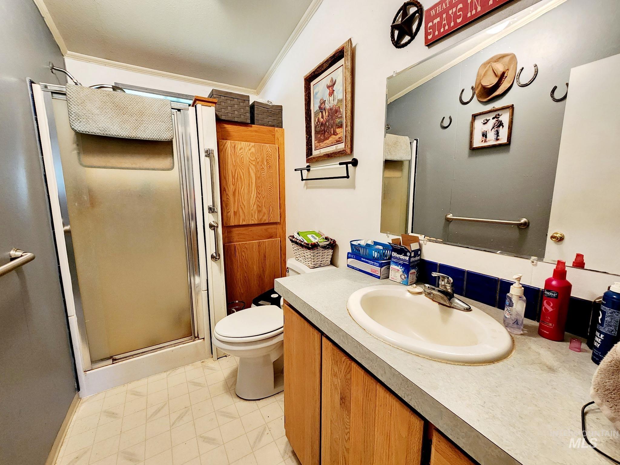 Guest bathroom with vanity, crown molding, and a stall shower