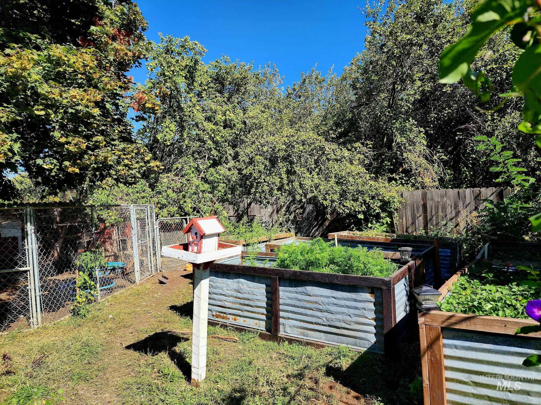 Grow your own food in this Idaho backyard featuring raised garden beds, lush greenery, an ideal setup for sustainable living.