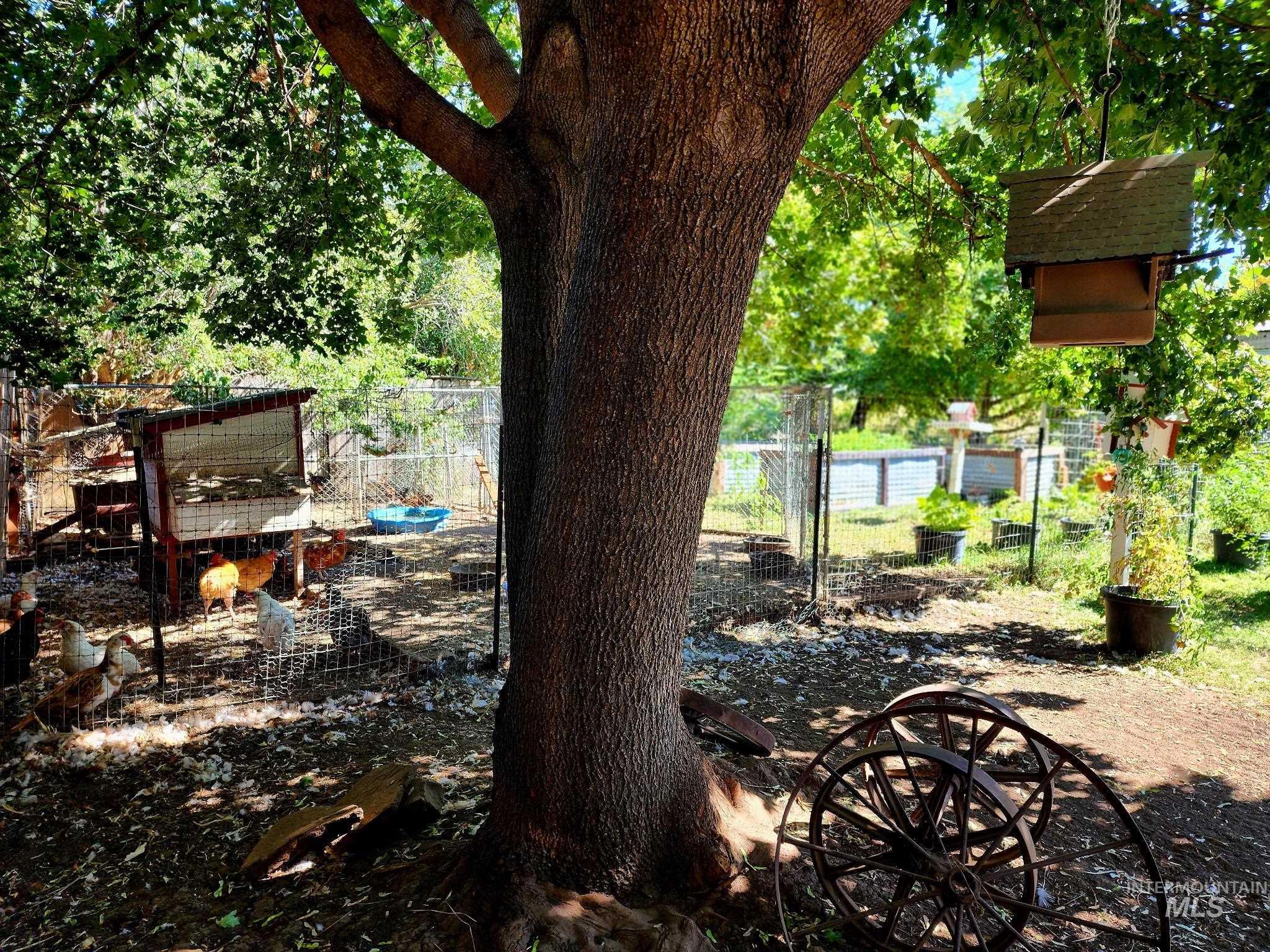 This Idaho backyard is a true homestead retreat, featuring a mature shade tree, rustic charm, and a fully fenced chicken coop alongside garden beds and sunny growing space. Perfect for farm-to-table living, it blends function, privacy, and natural beauty