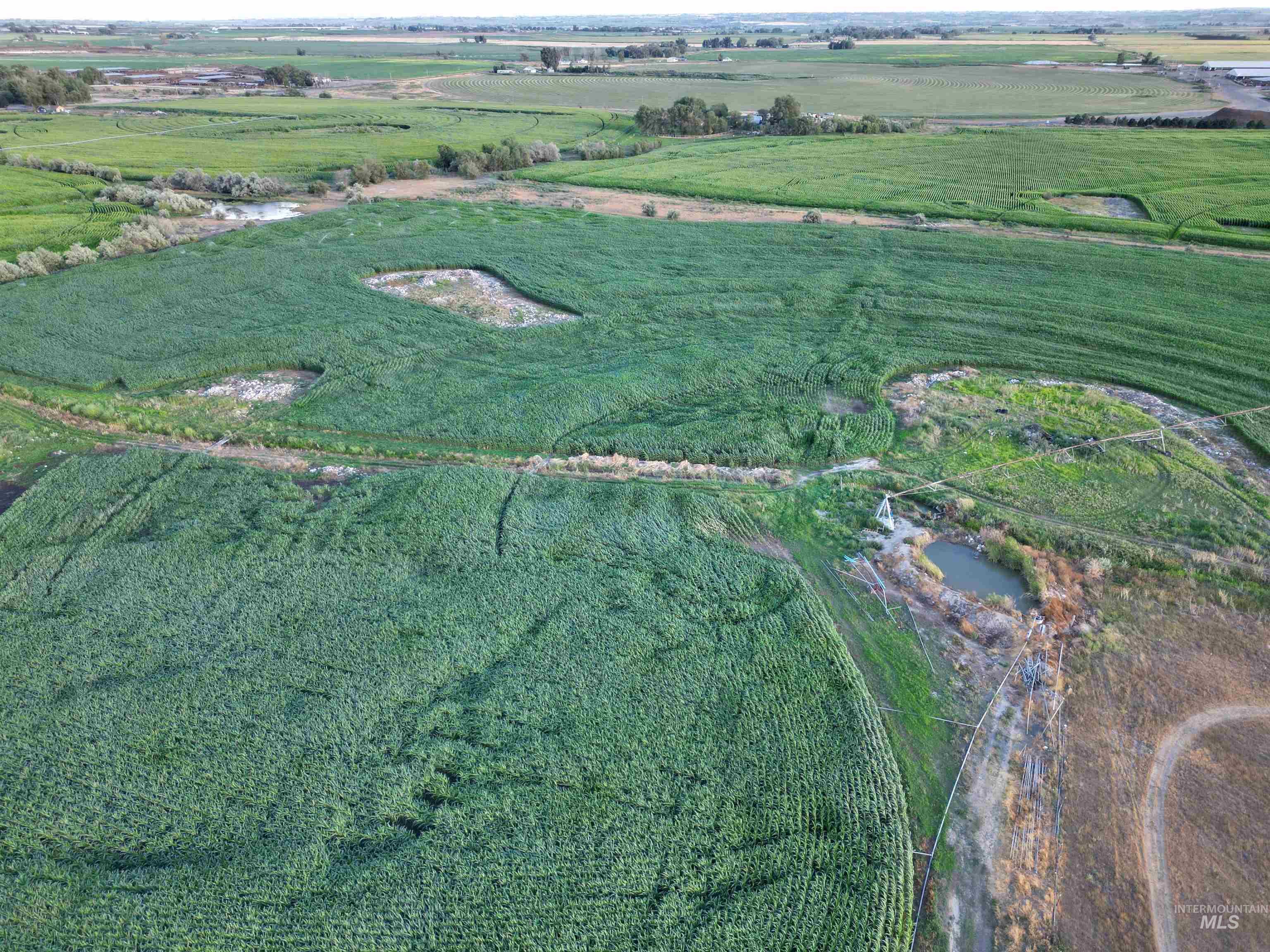 Wendell, Idaho 83355, United States, ,Land,Active,186180