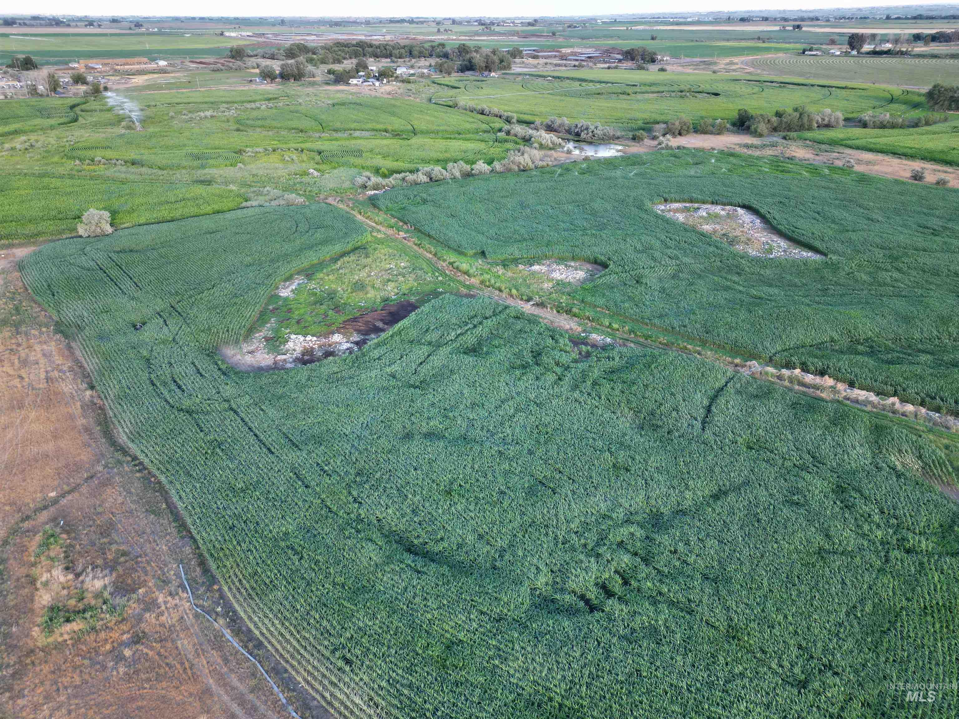 Wendell, Idaho 83355, United States, ,Land,Active,186180