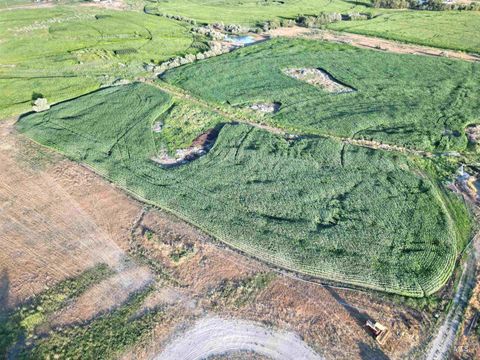 1465 E 3050 S Wendell ID 83355