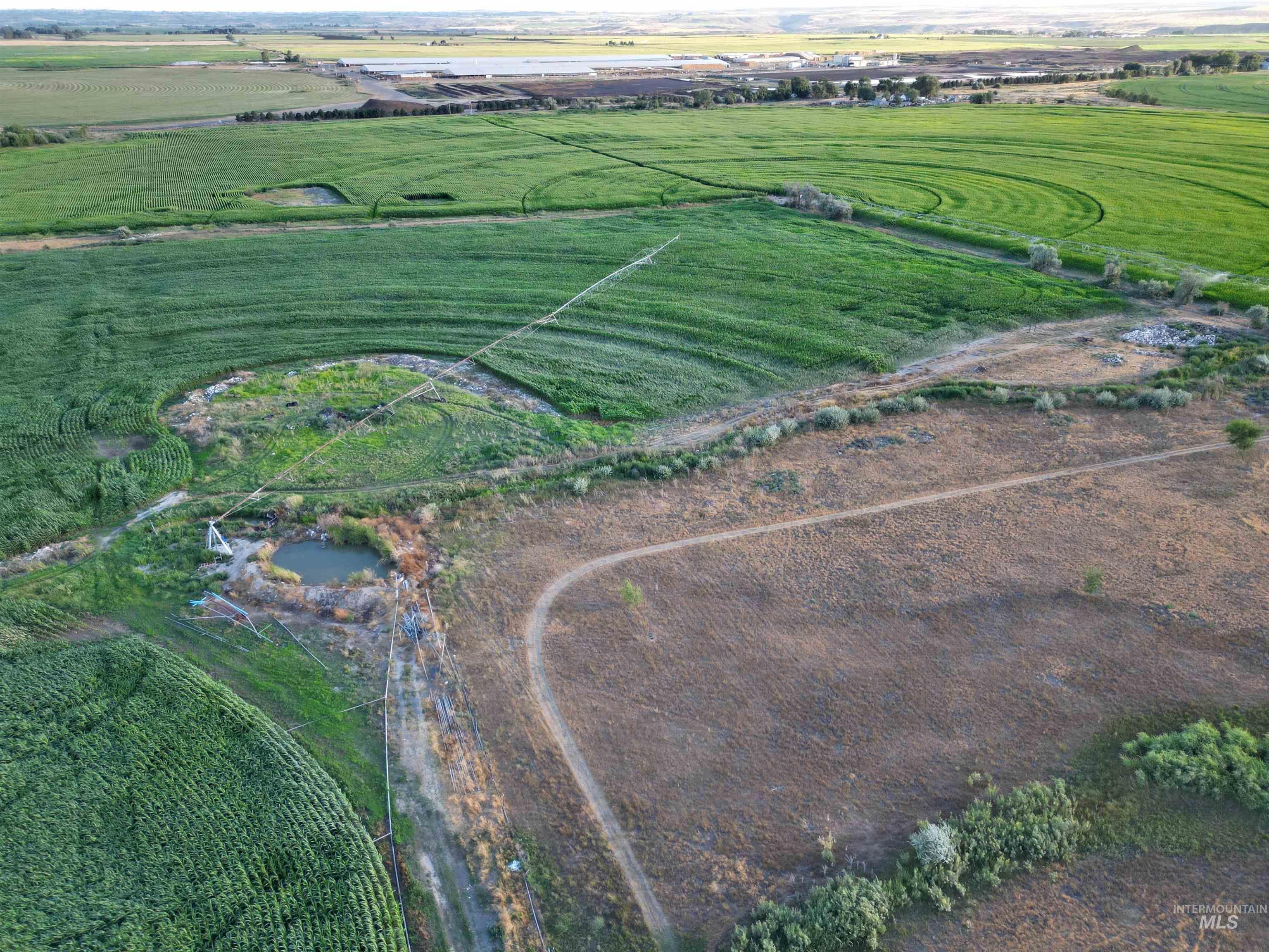 Wendell, Idaho 83355, United States, ,Land,Active,186180