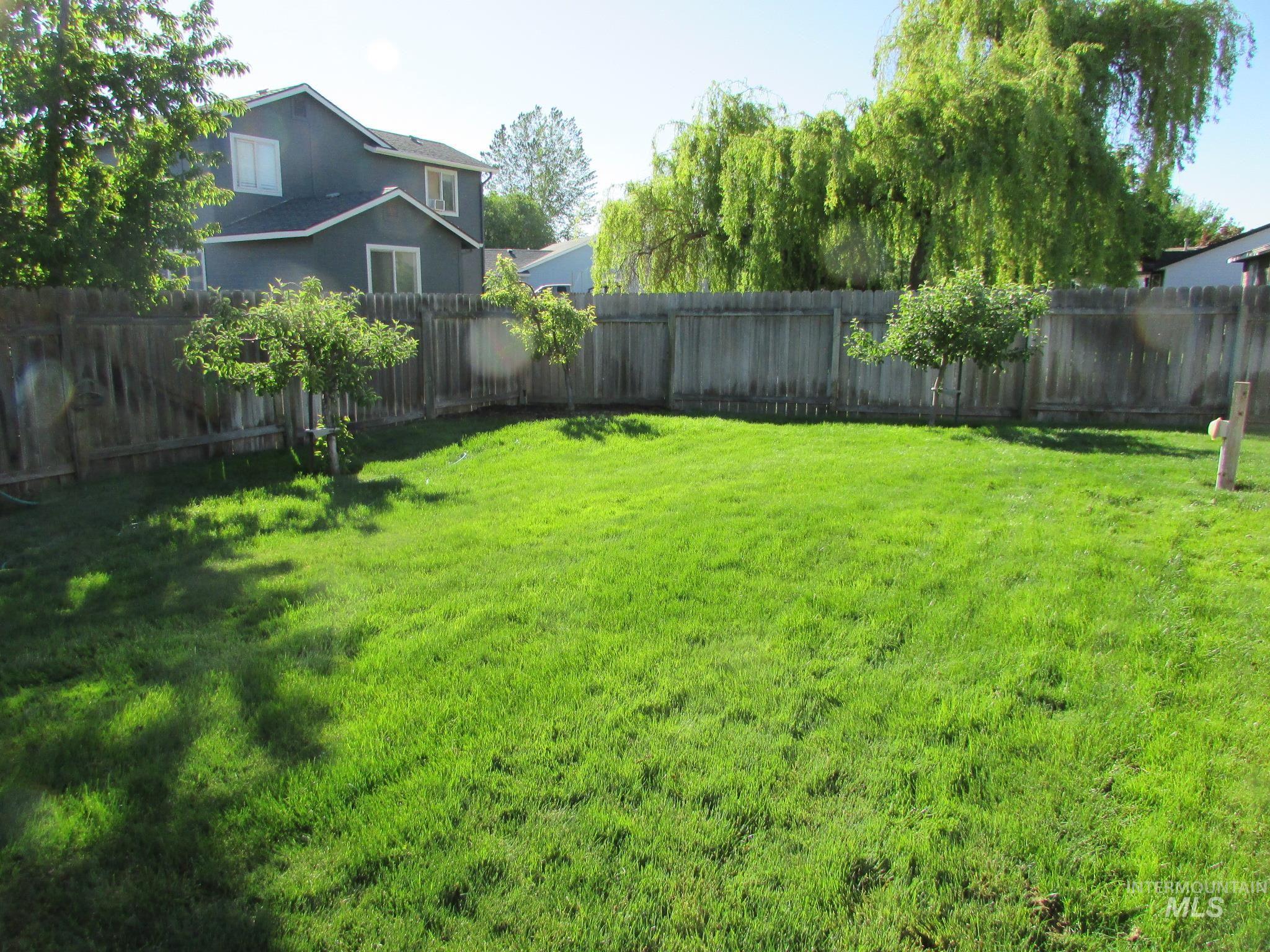 Expansive lawn area featuring a wood privacy fence, mature perimeter trees, and established plantings