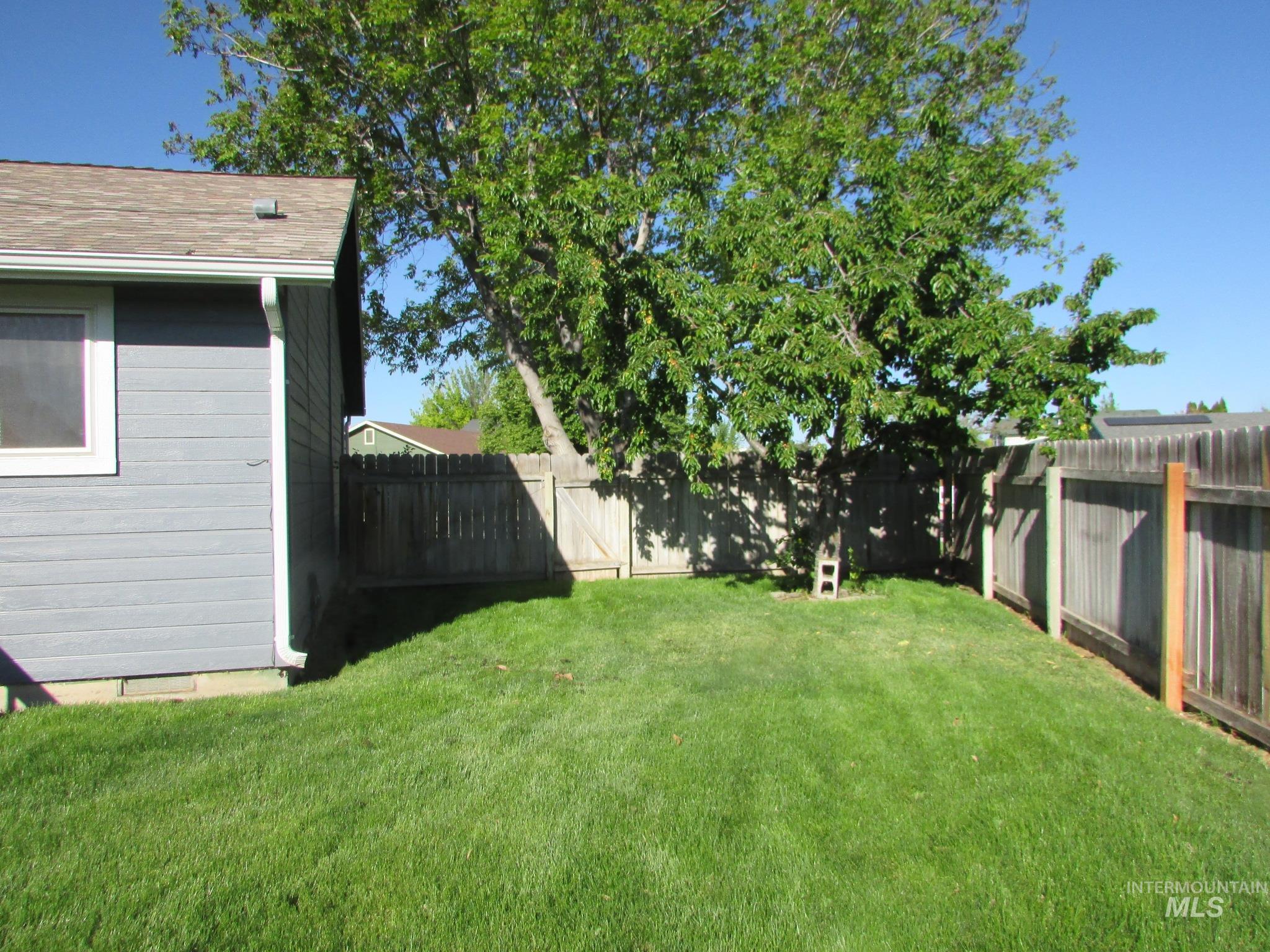 Expansive grassy yard with mature tree providing shade