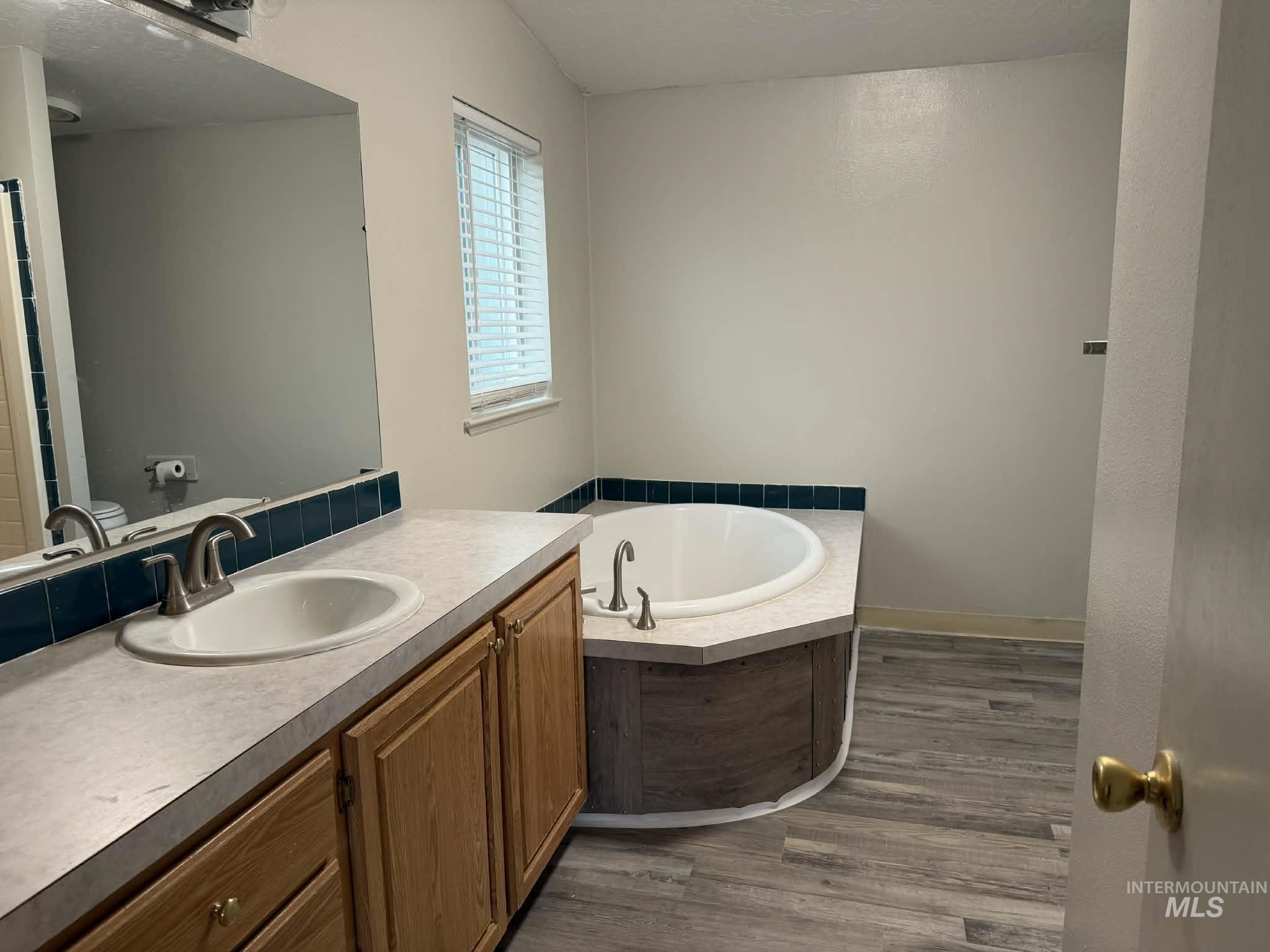 Full bathroom featuring a bath, vanity, and dark wood-type flooring