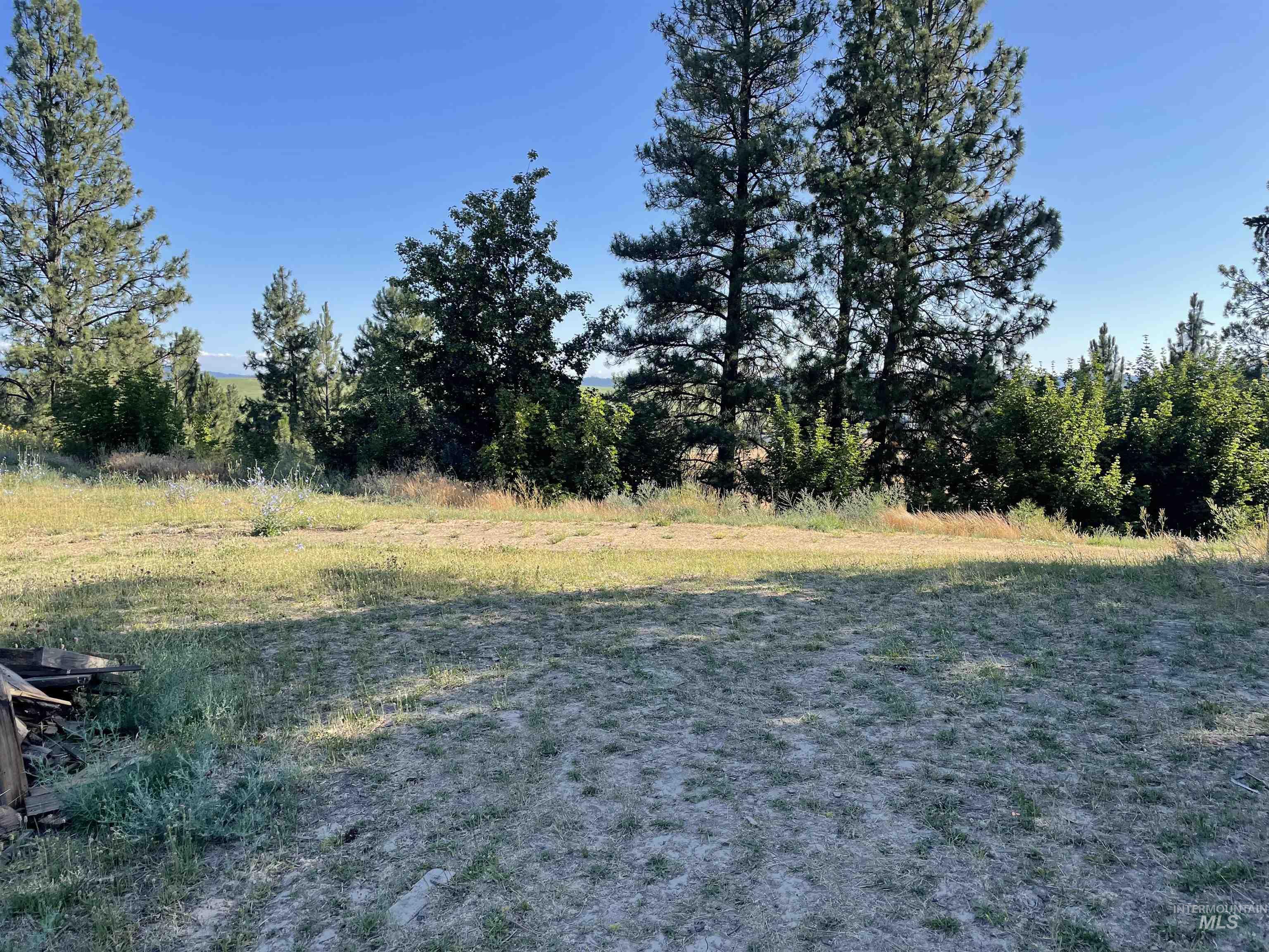 000 Ponderosa Drive Lot 3
