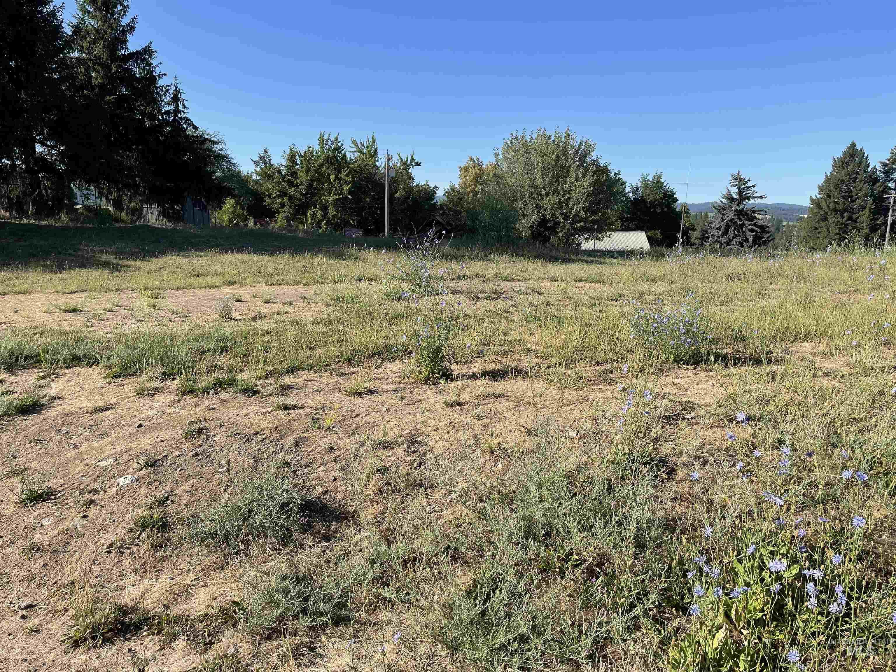 000 Ponderosa Drive Lot 3