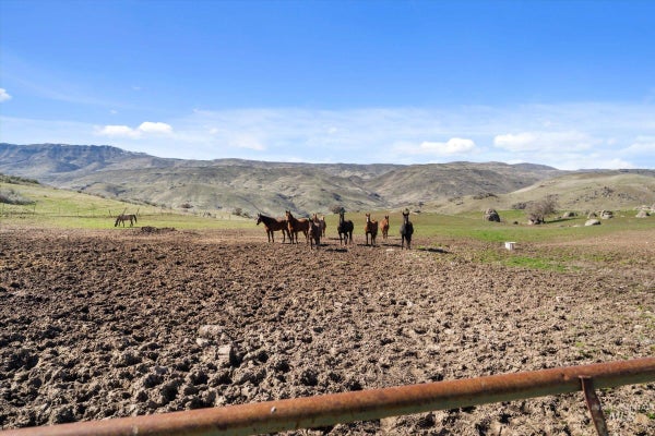 11555 LIBERTY RD, SWEET, ID 83670 - Image f0a378d4b9cbd405bd6877efa67ede5e/307633133