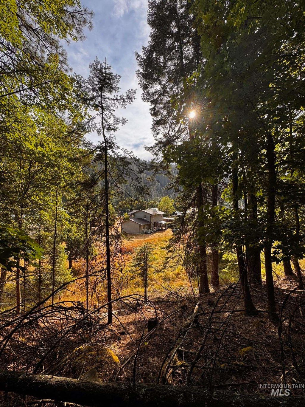 Photo of 404 Harmony Heights Loop, Orofino, ID 83544 (MLS # 98956466)