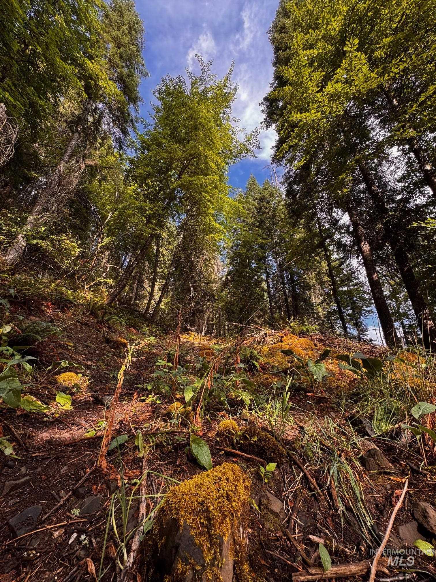 404 & 0 Harmony Heights Loop