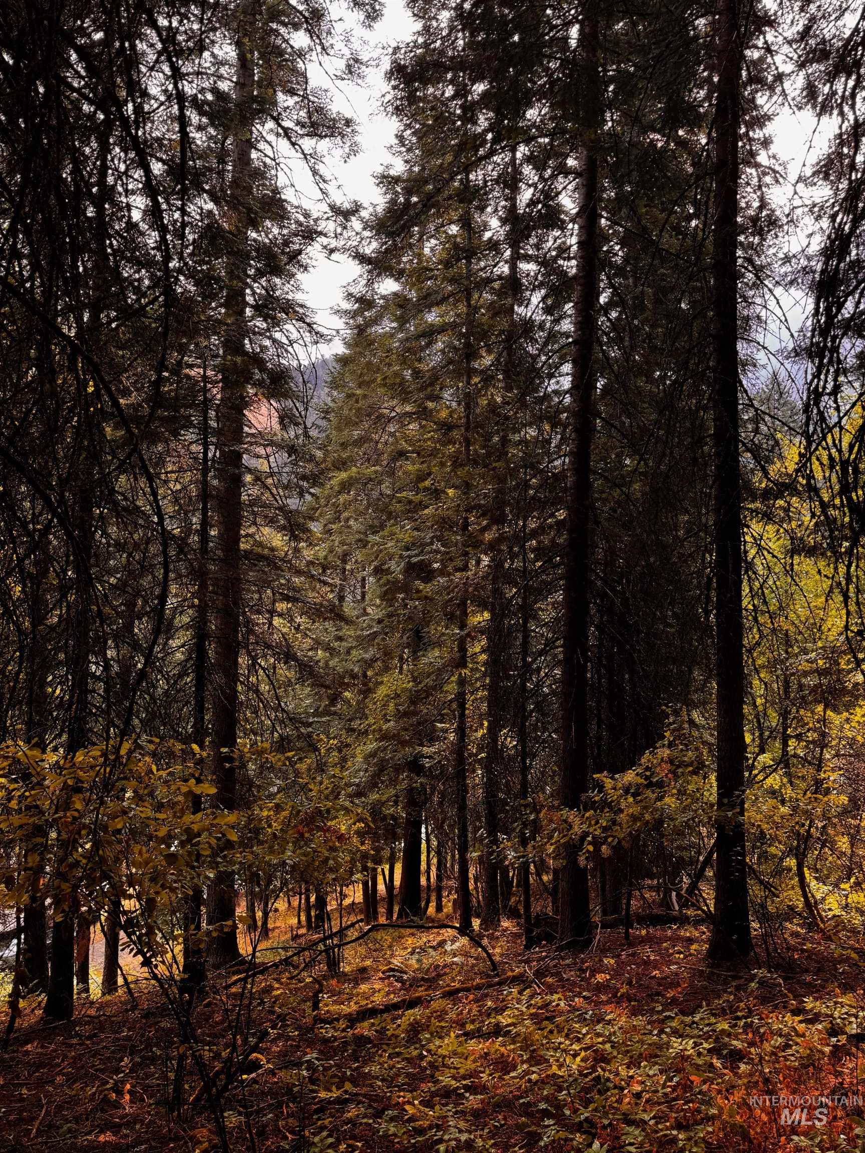 404 & 0 Harmony Heights Loop