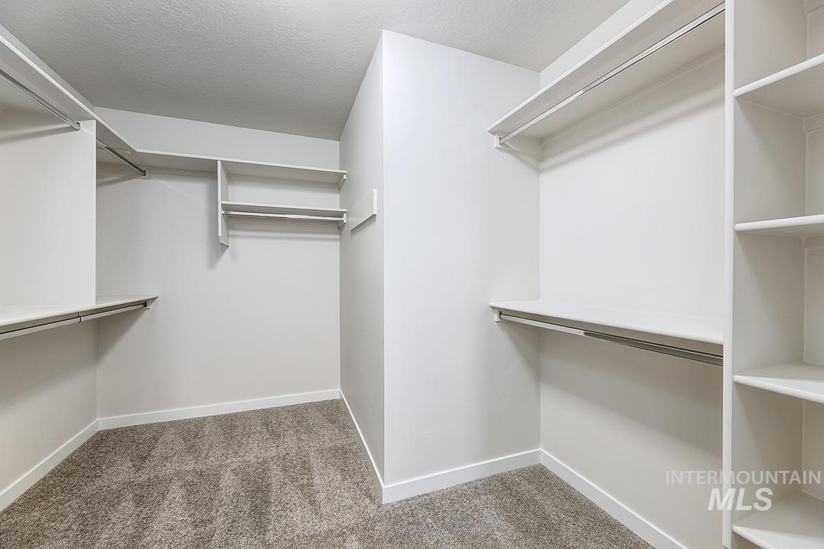 Spacious walk-in closet featuring built-in shelving, multiple hanging rods, corner shelving units, and plush gray carpeting