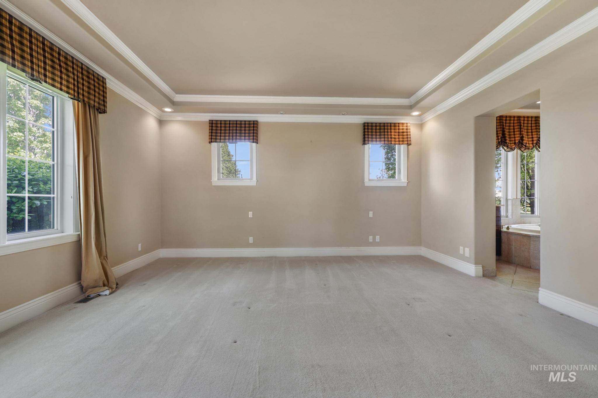 Unfurnished room with light colored carpet, ornamental molding, and a raised ceiling