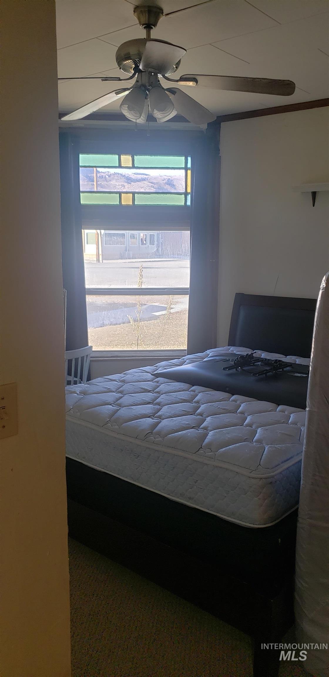 Carpeted bedroom featuring a ceiling fan