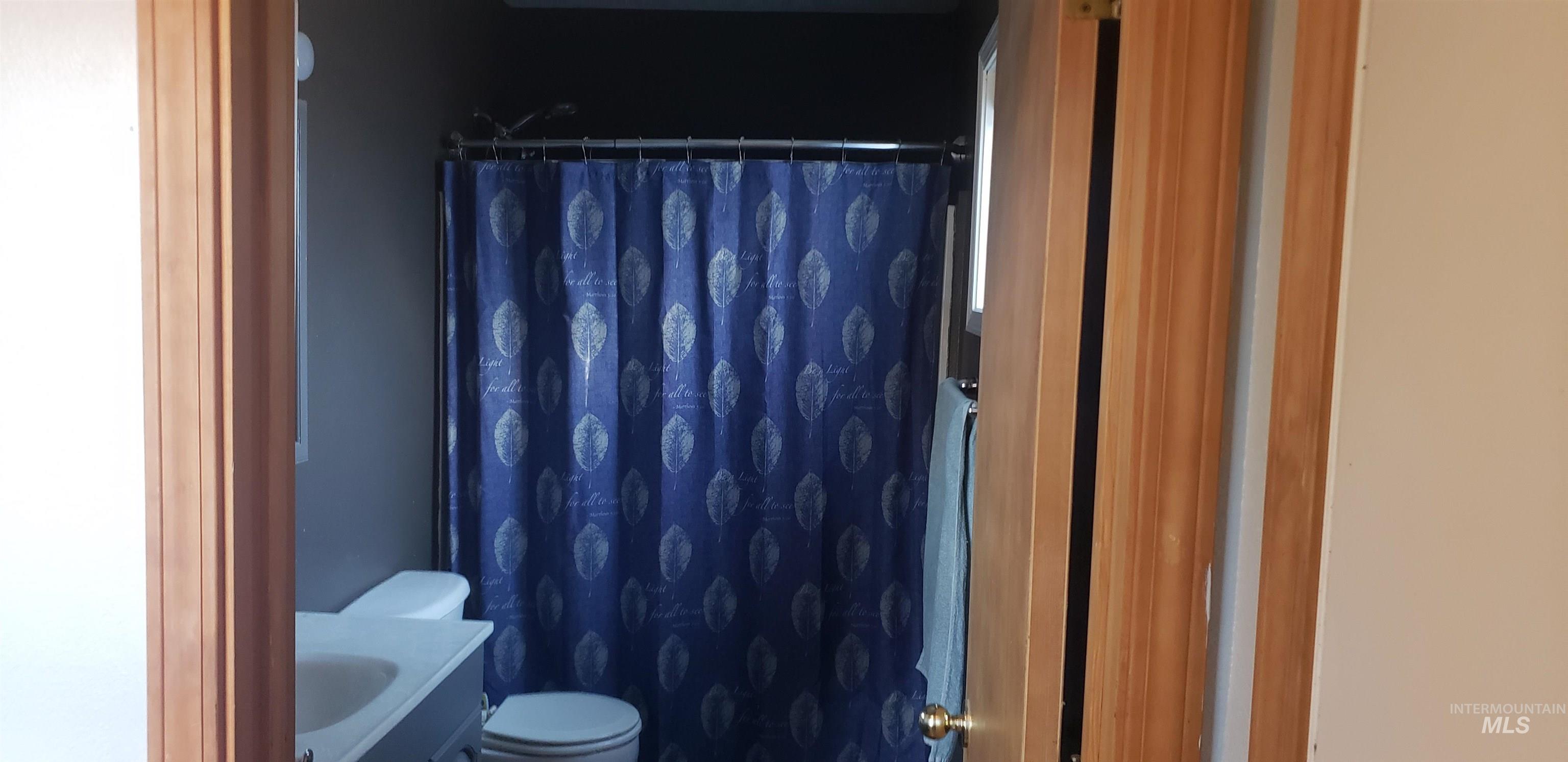 Bathroom with vanity and a shower with curtain