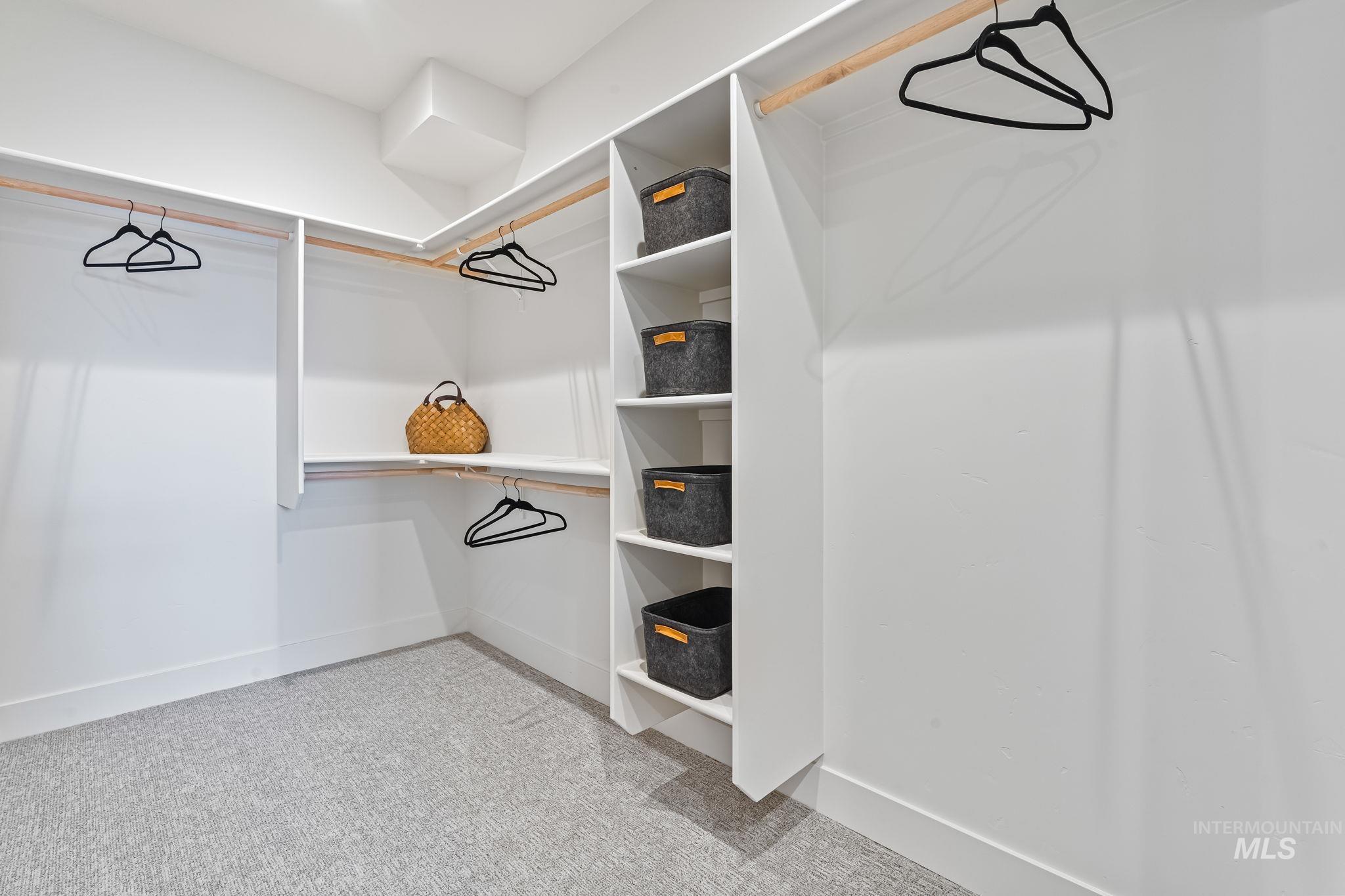 Walk in closet featuring light colored carpet