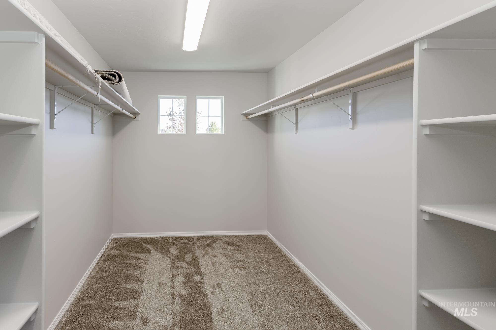 Walk in closet featuring carpet