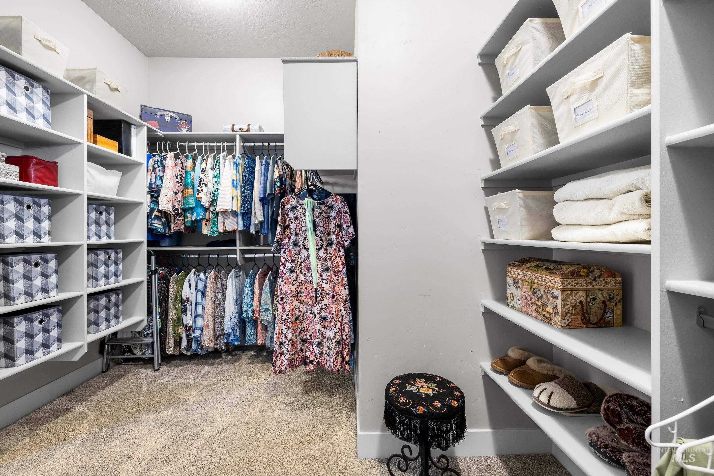Walk in closet with carpet